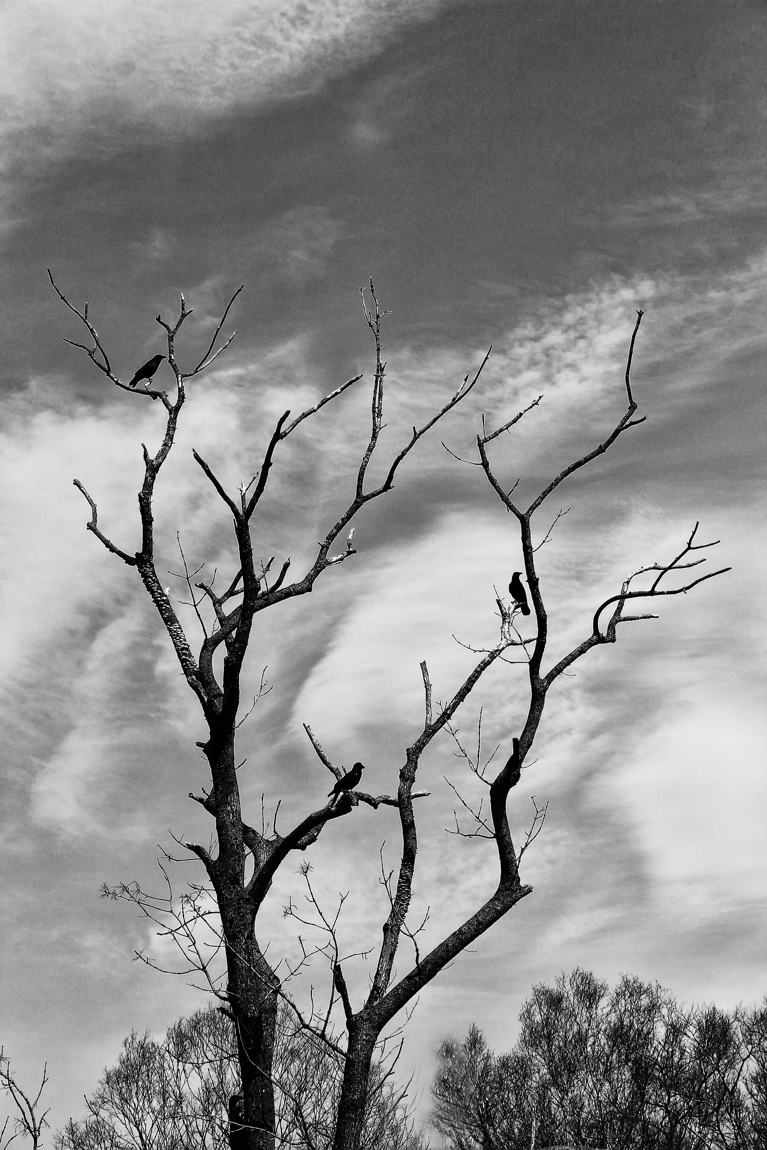 Зарисовки. Иван Ефремов фотограф в городе Владивостоке