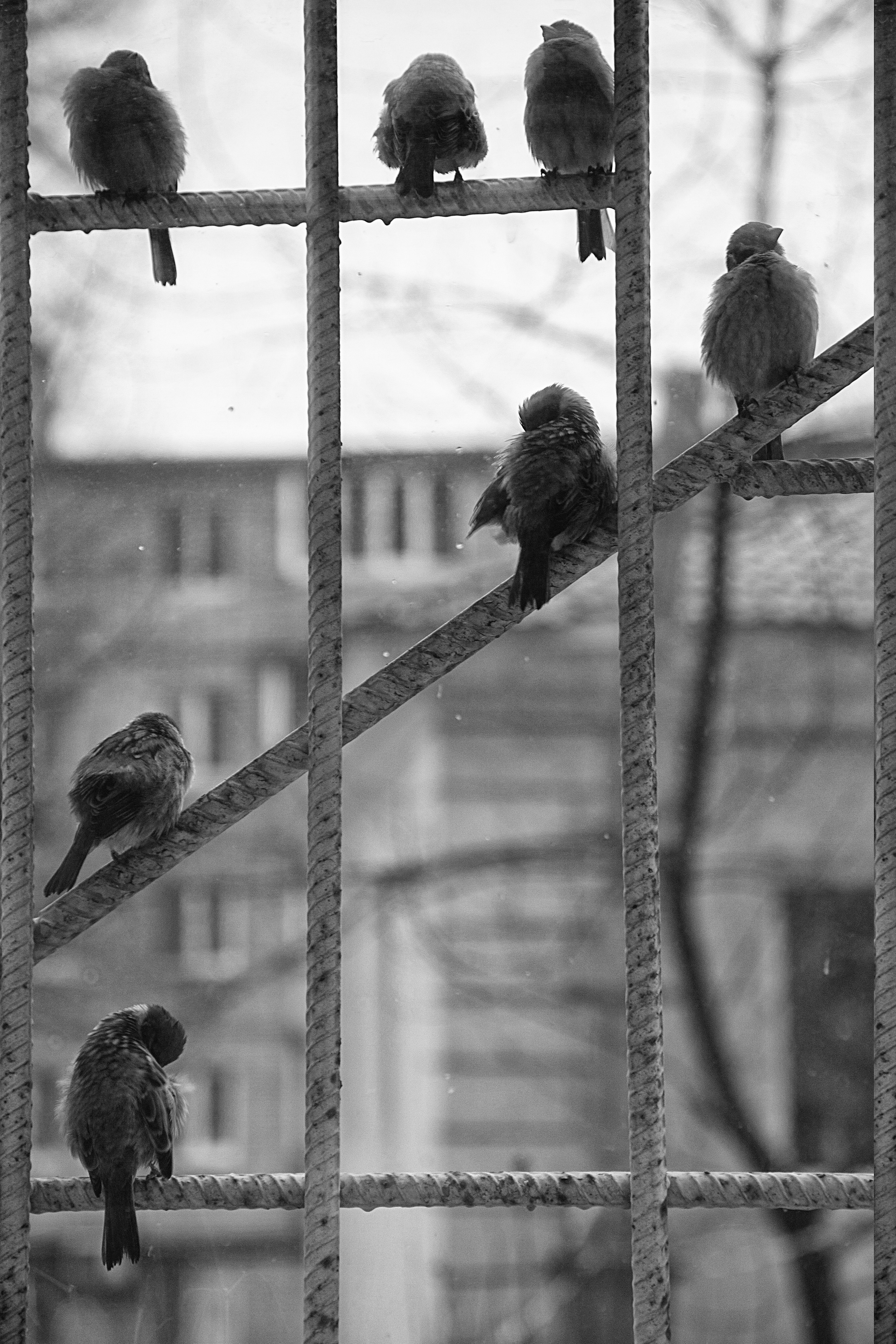 Зарисовки. Иван Ефремов фотограф в городе Владивостоке