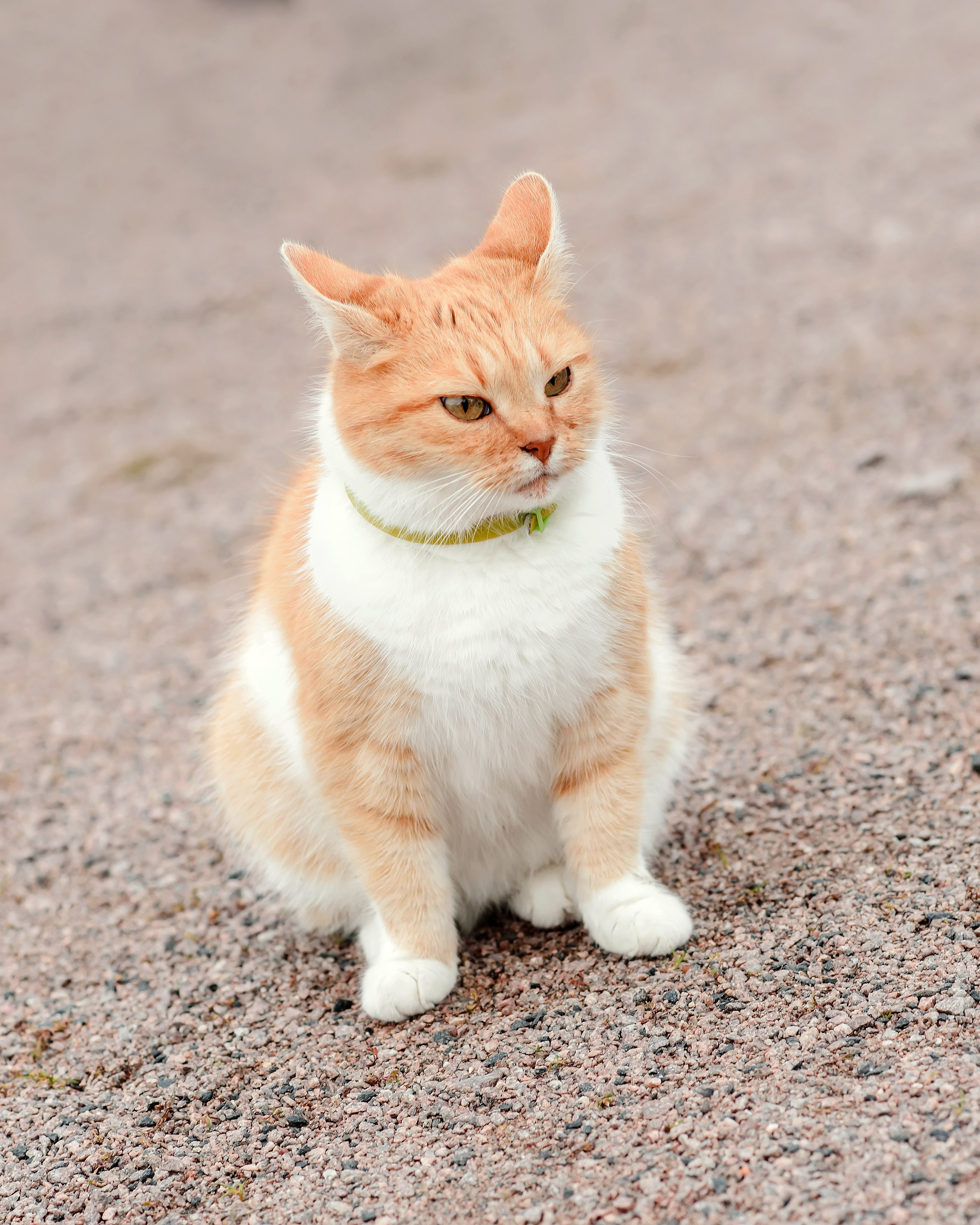 Имидж-тур ВодоходЪ. Репортажный фотограф Минина Ирина
