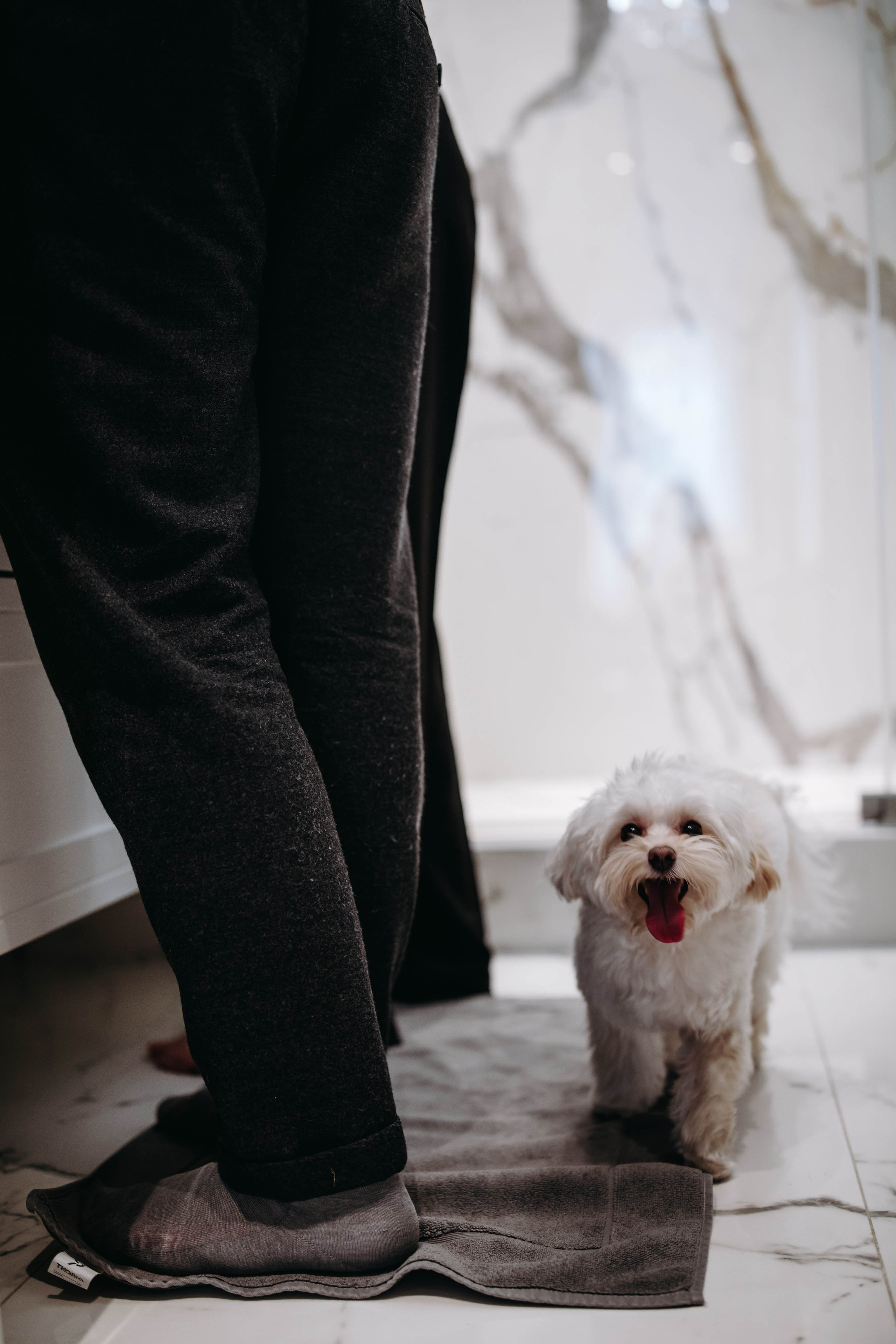 Белла. Профессиональный фотограф