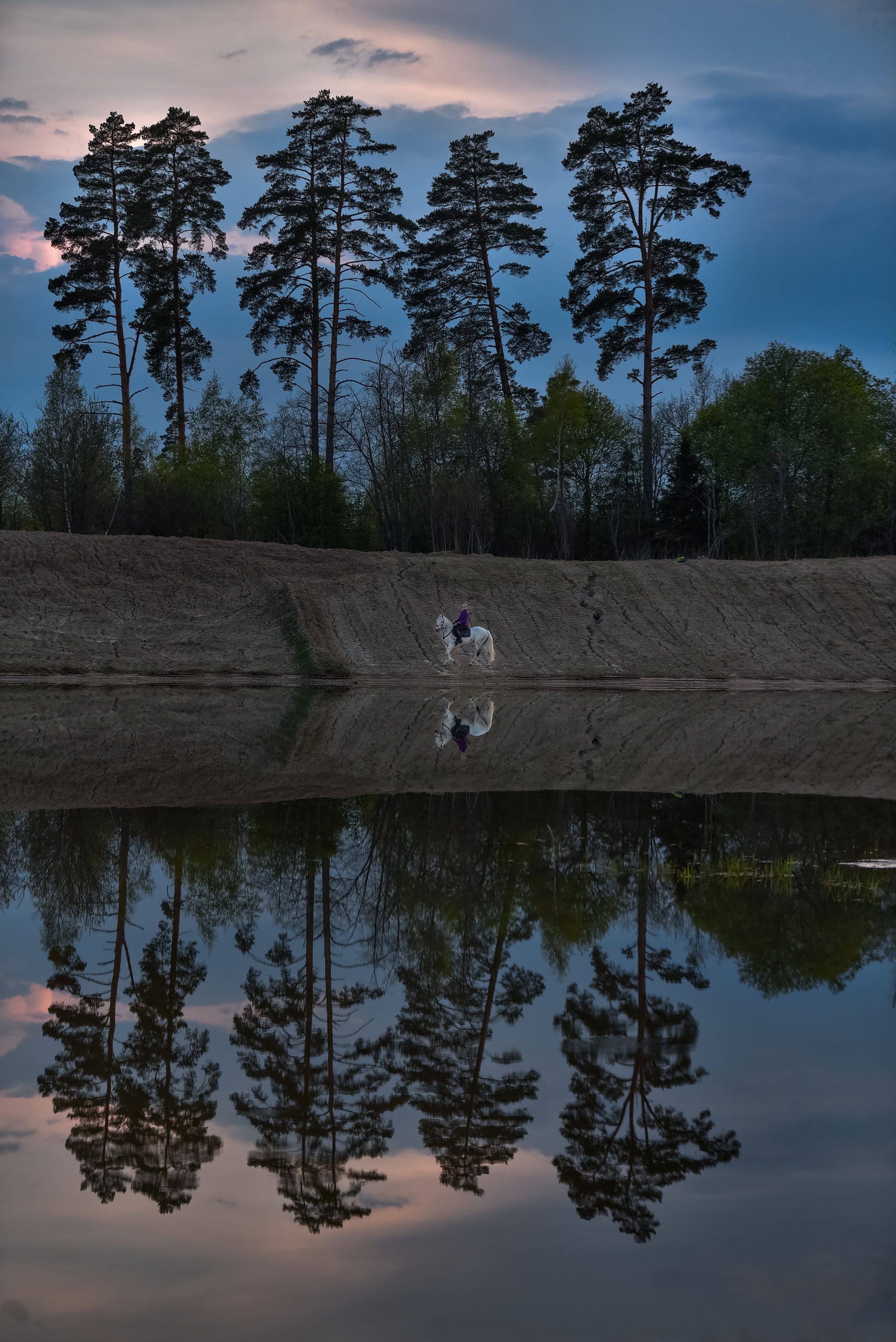 Природа. Съемки в стиле Goblicore и прочая нечисть. Конный фотограф из Москвы Ирина Бондаркова