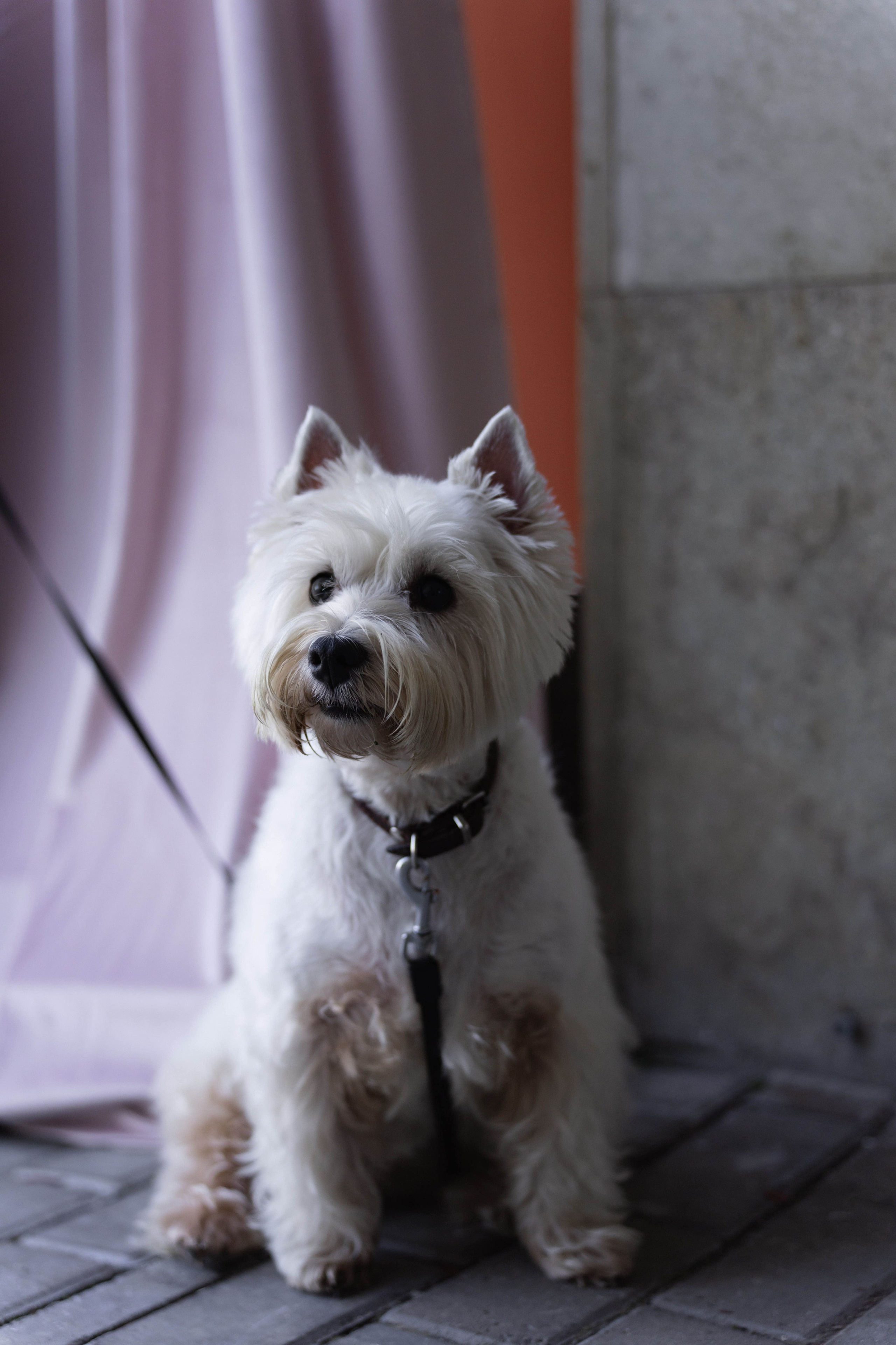 Четыре сезона. Фотограф в Санкт-Петербурге Александр Дымов