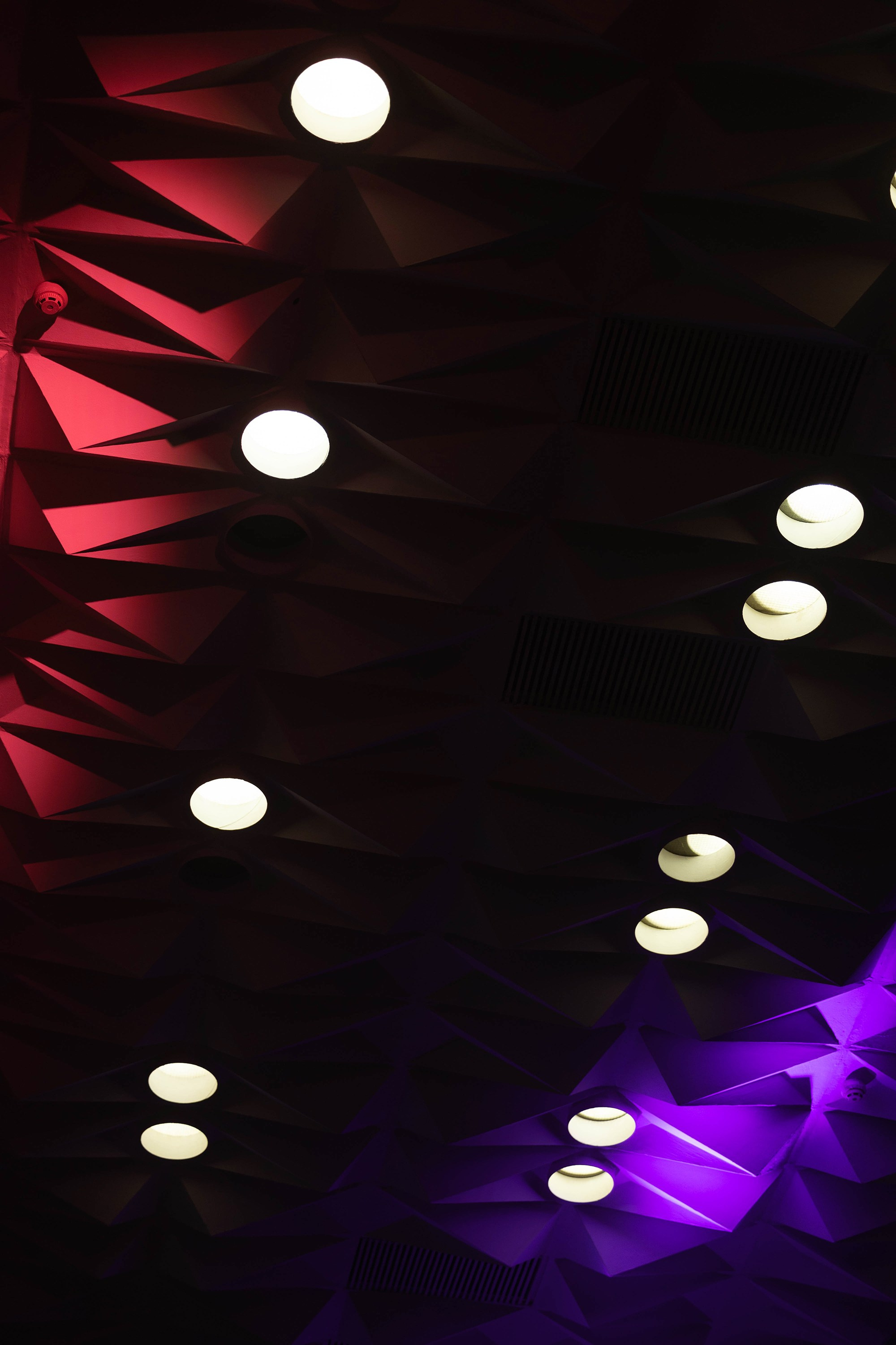 Репортажная съёмка. Фотограф-анималист в Омске Екатерина Маричева