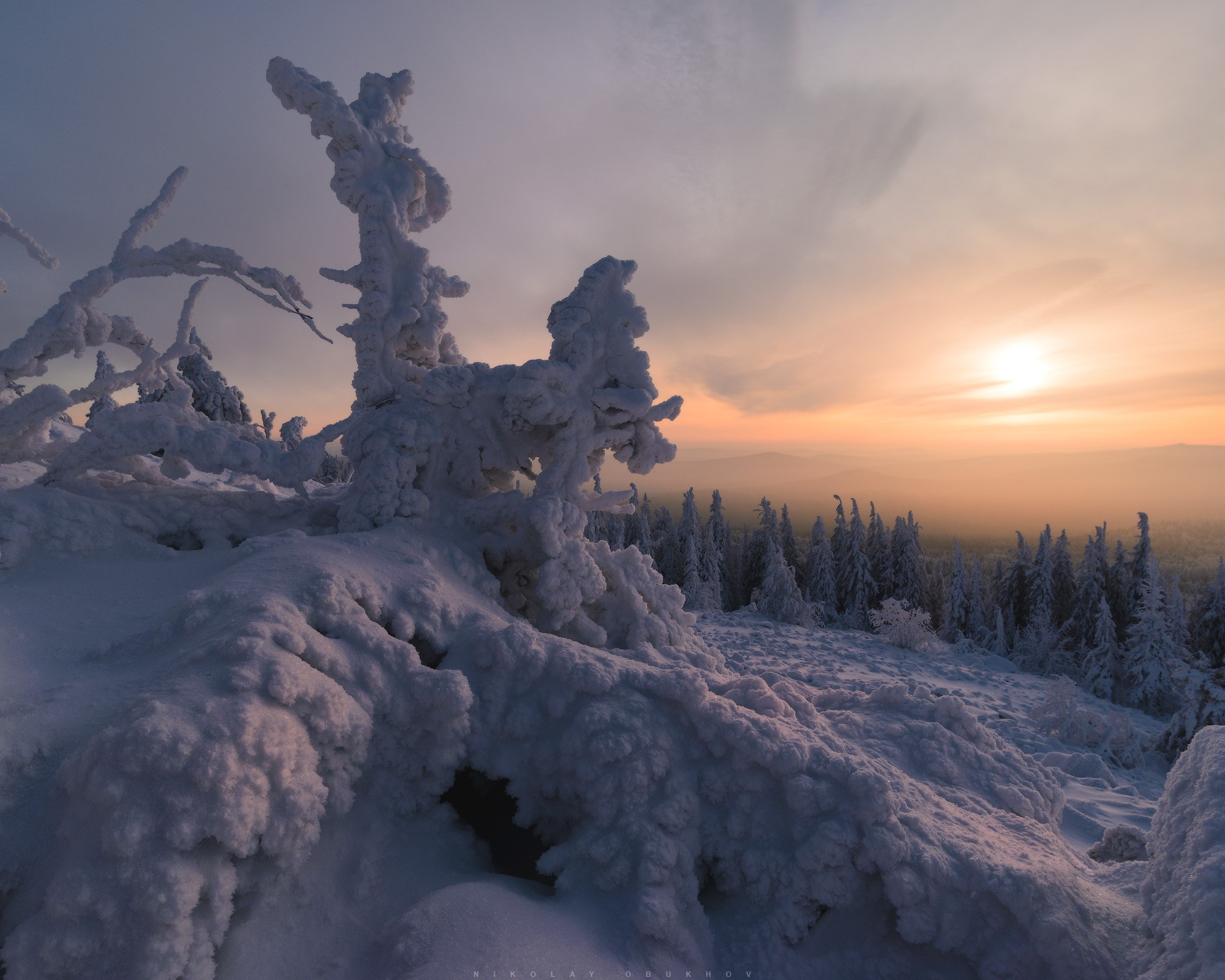 Зимний лес на горе Белая под Нижним Тагилом утопает в мягком снегу и солнечном свете.