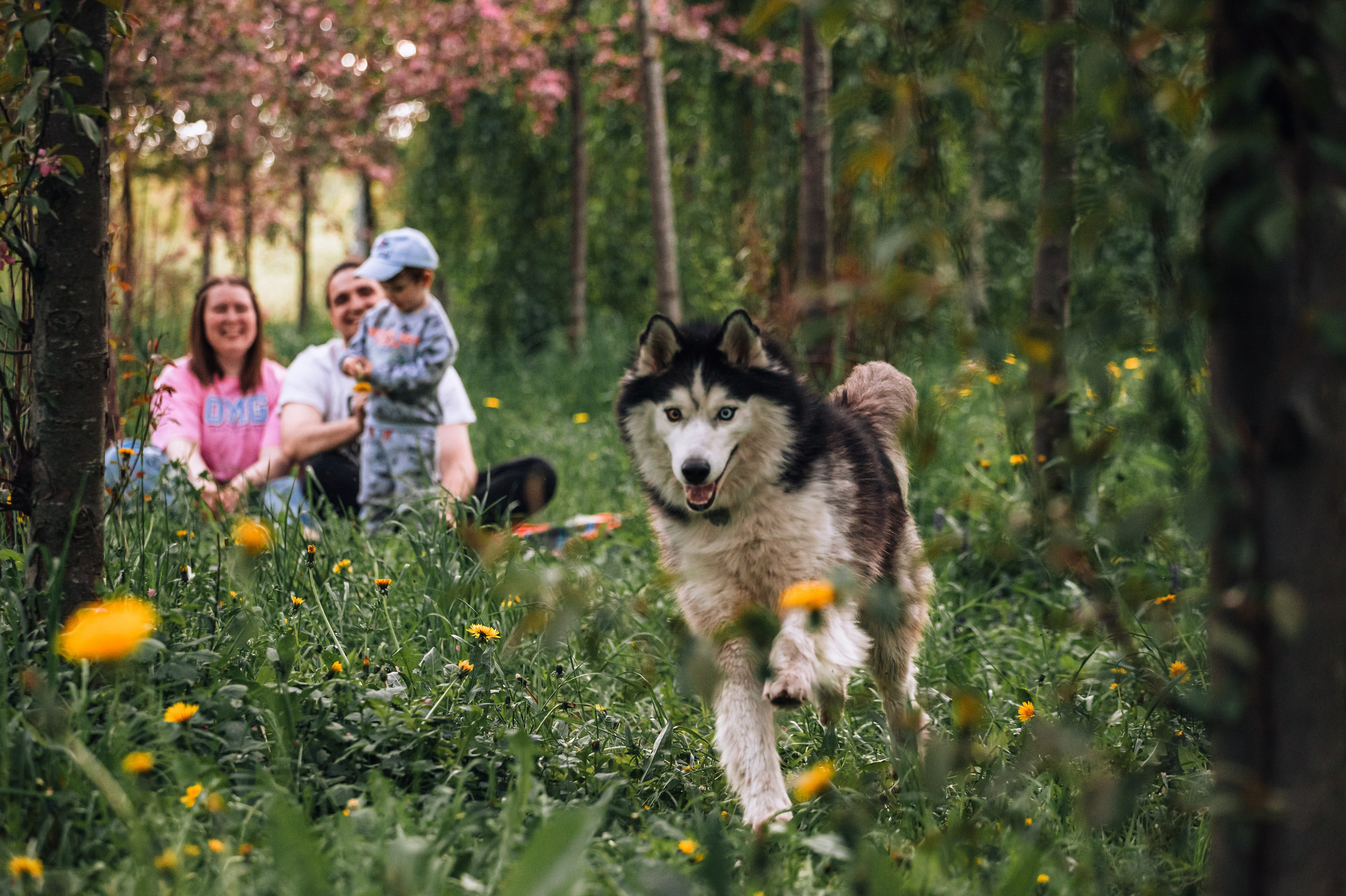 Семейная экспресс фотосессия в рамках фотодня. Фотограф-анималист Татьяна Степанова