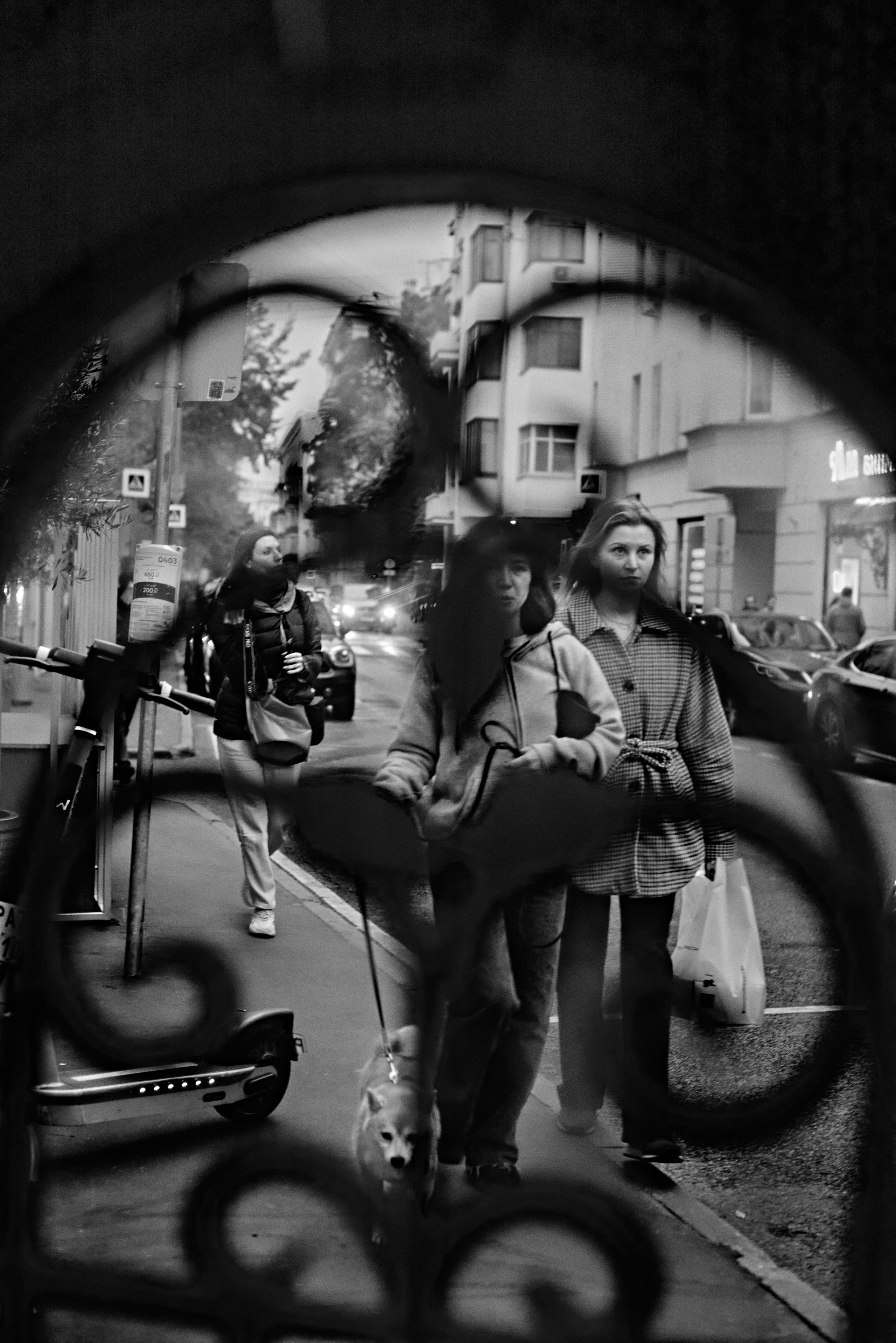 2024. Марфин. Фотограф