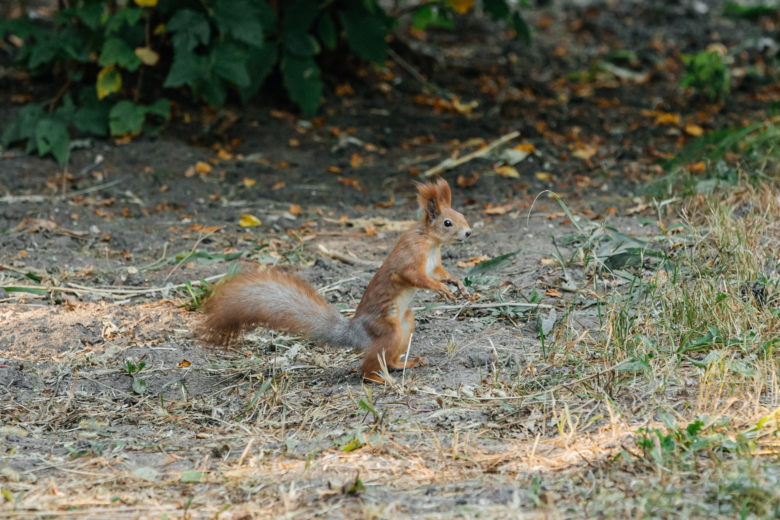 5. Владислав Волков | Фотография и видеосъемка в Воронеже
