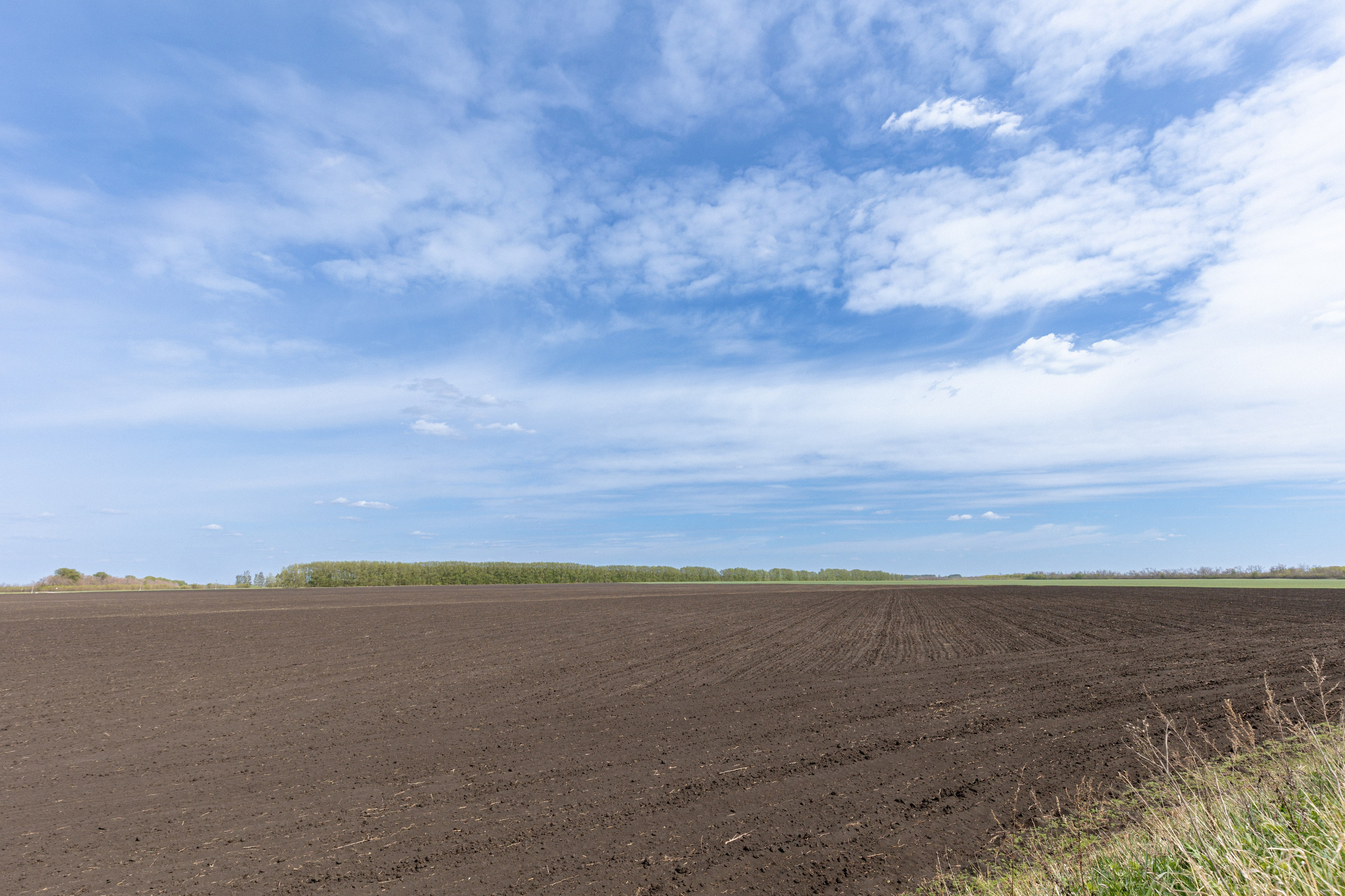 Земельный участок с объектами на нём. Владислав Волков | Фотография и видеосъемка в Воронеже
