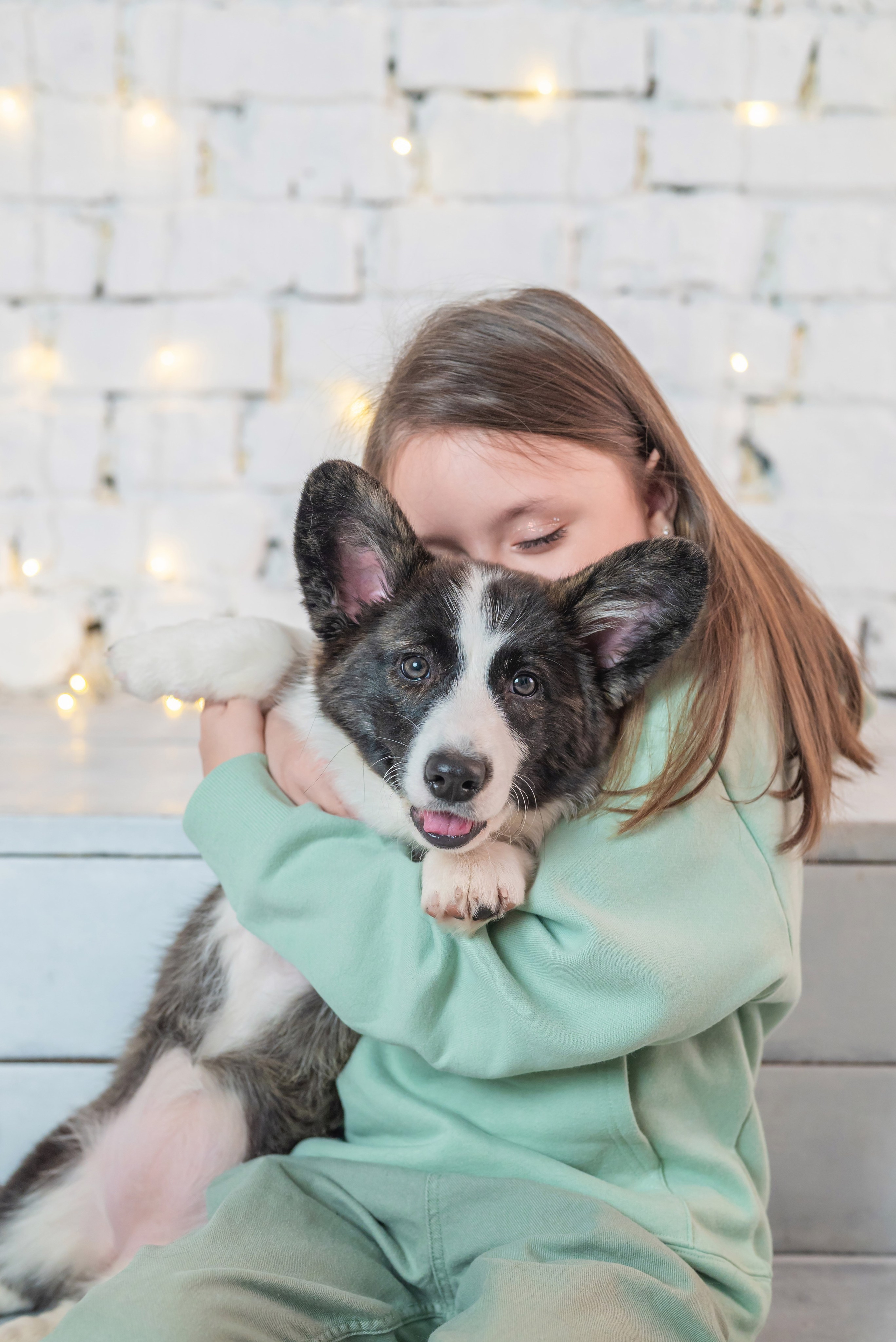 Фотопроект с корги. Фотограф в городе Салават
