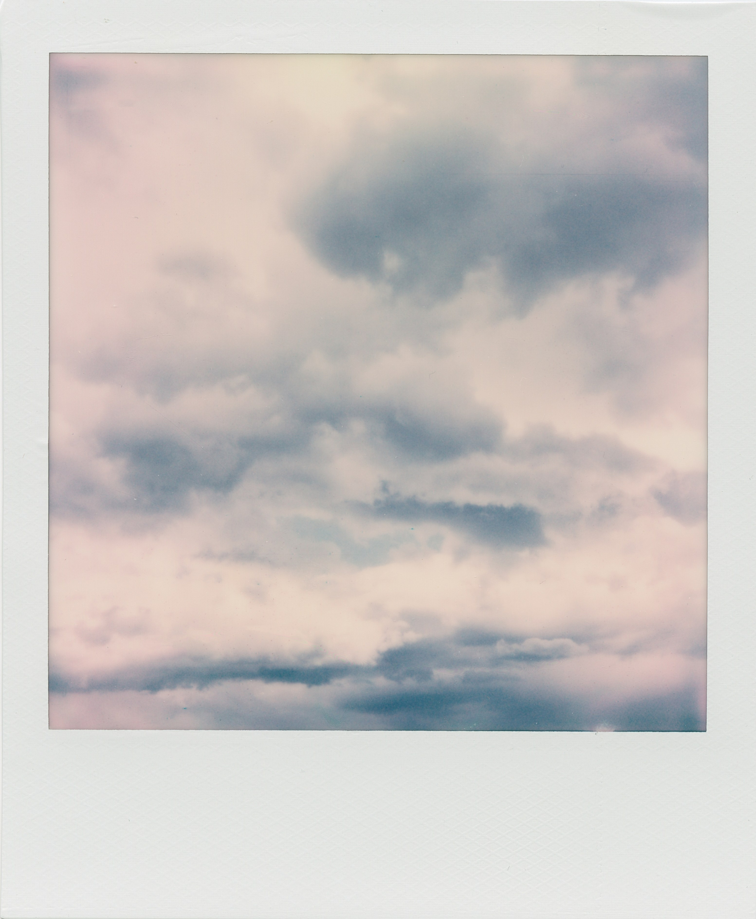 POLAROID. EVER EXPOSED