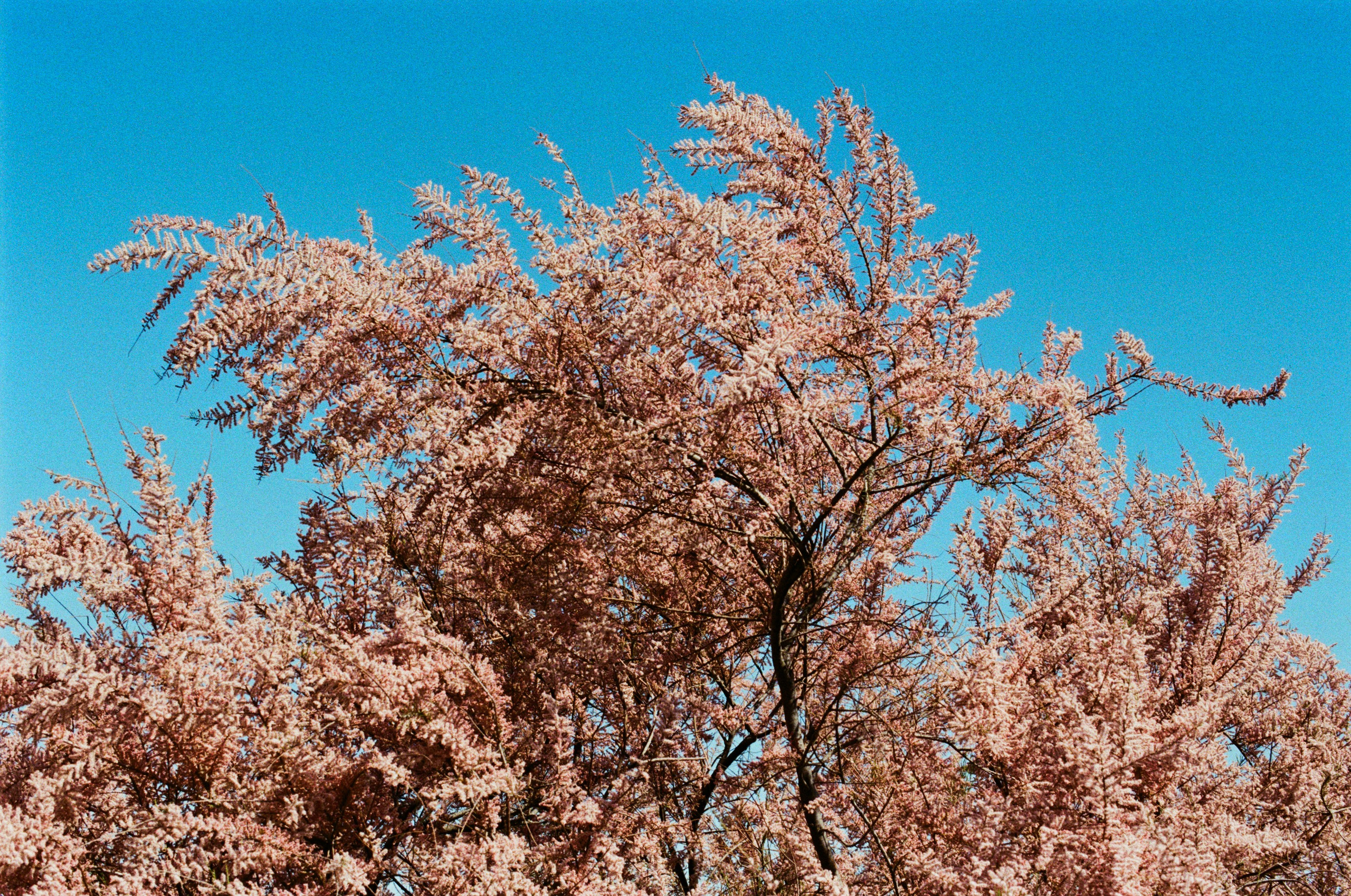 Press enter to exit // ukraine, crimea VII. EVER EXPOSED