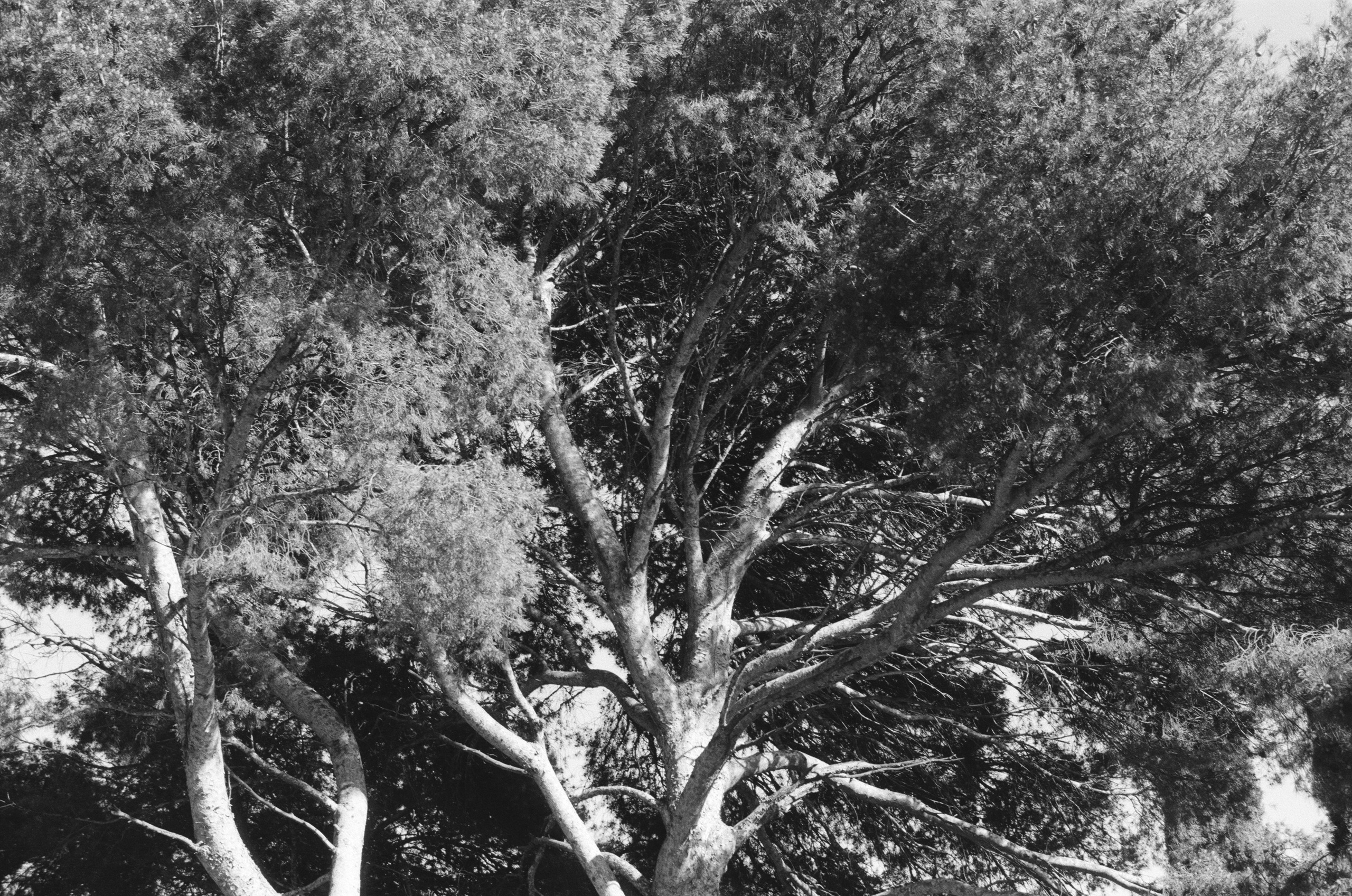 Plastinki // ukraine, crimea. EVER EXPOSED