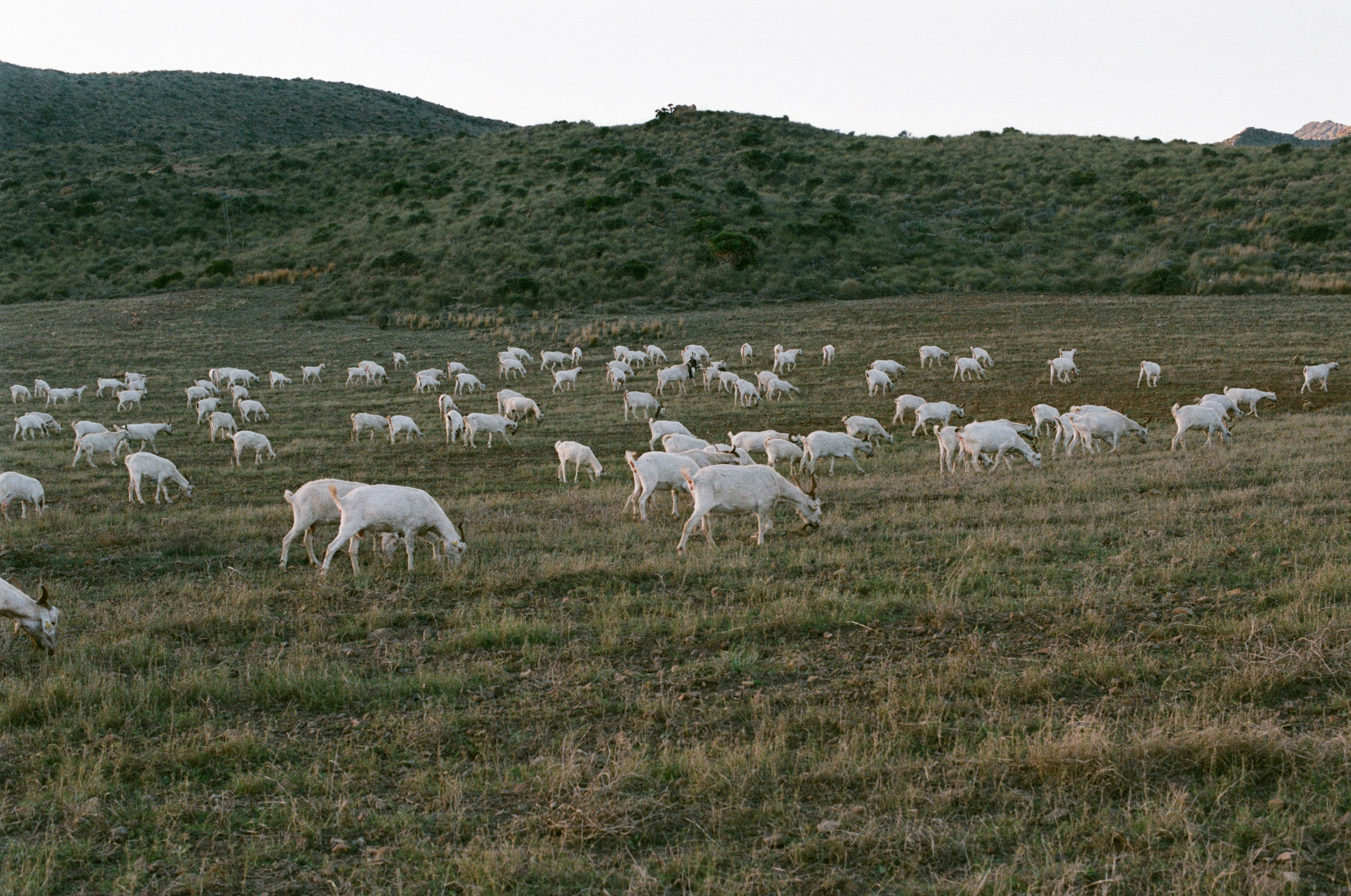 Spanish sahara // spain, cabo de gata II. EVER EXPOSED