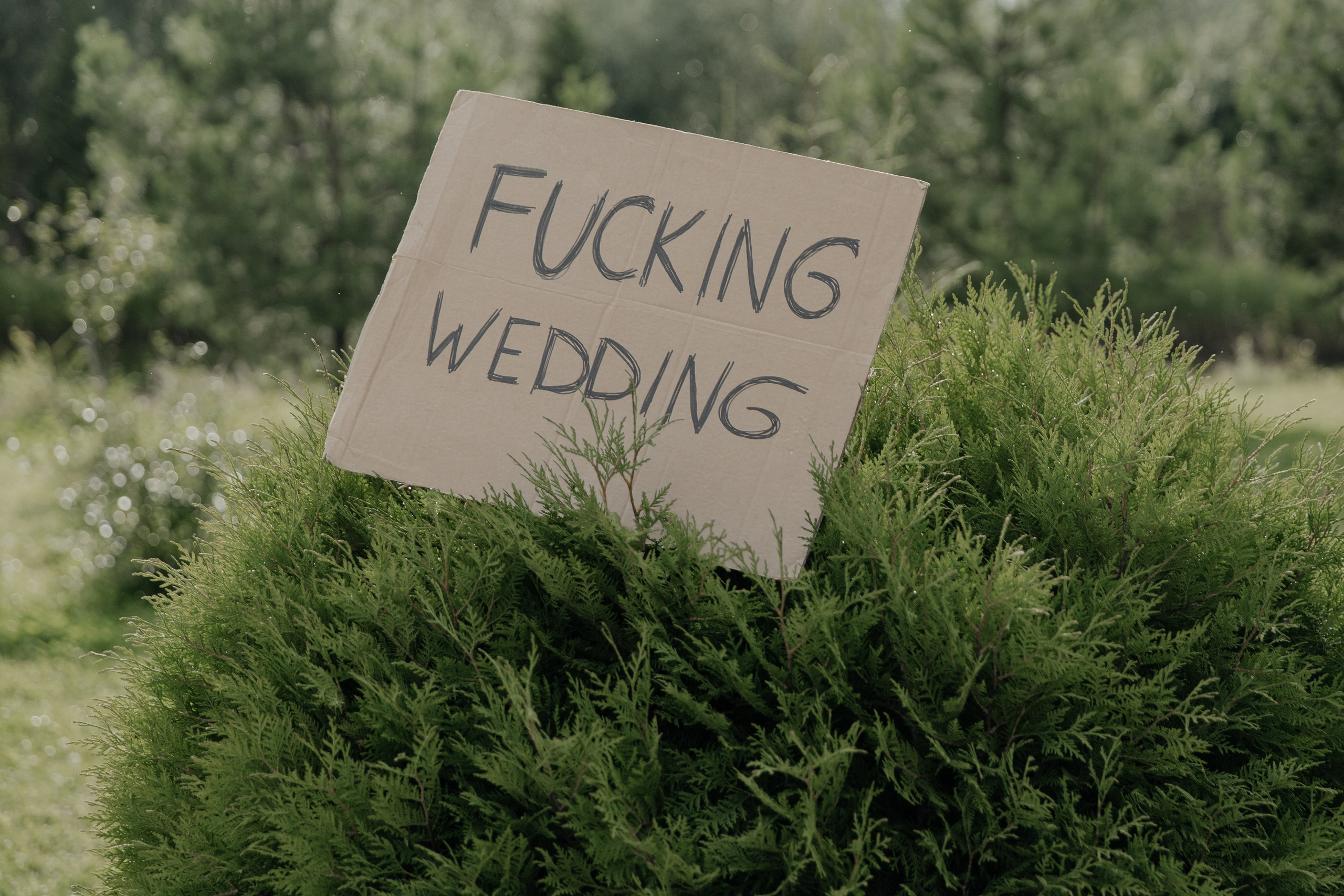 23.07.2024. RETOUCH-HOUSE