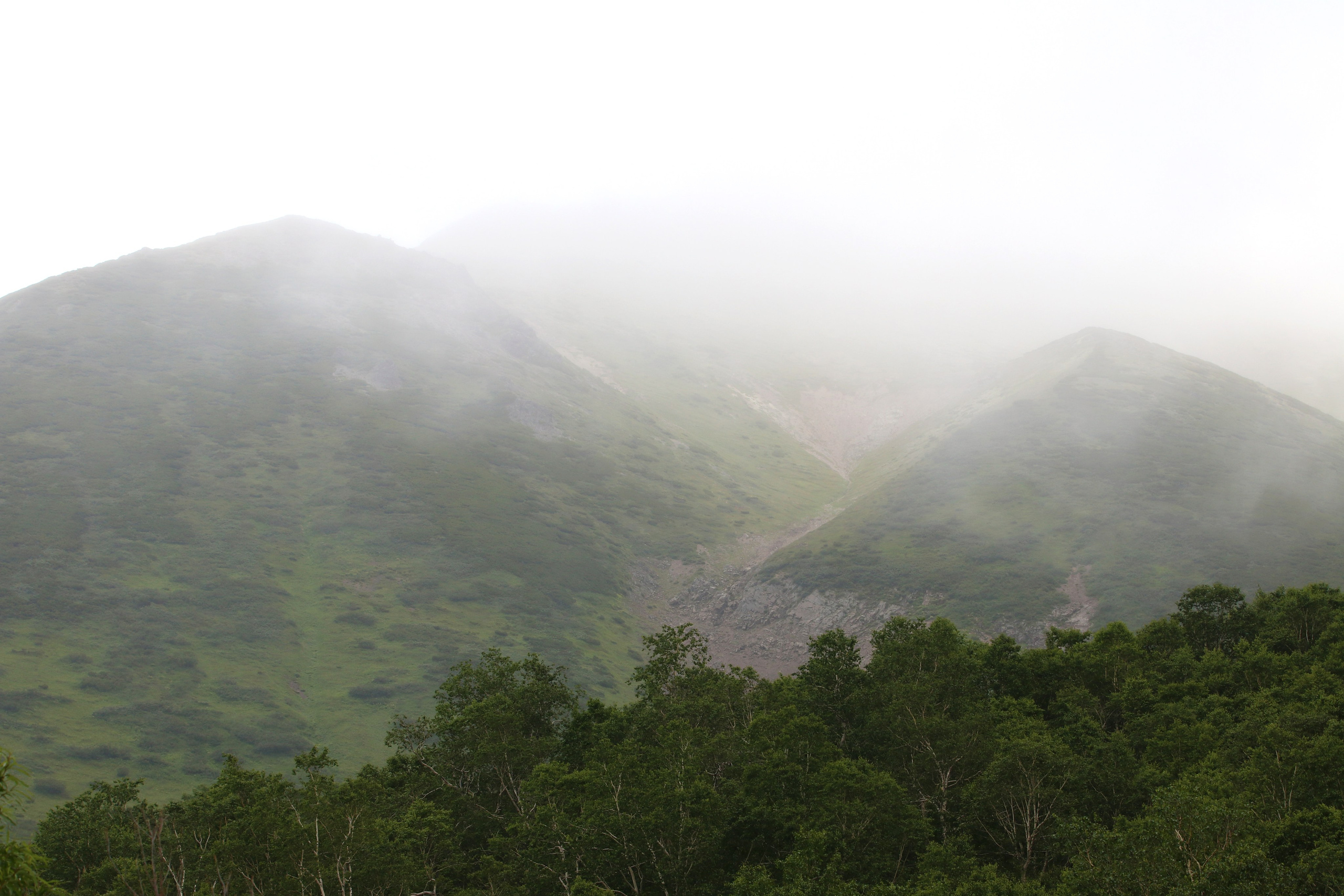 Камчатка и о. Парамушир. Июль 2024. Путешественник-фотограф из Санкт-Петербурга Татьяна Свистулина
