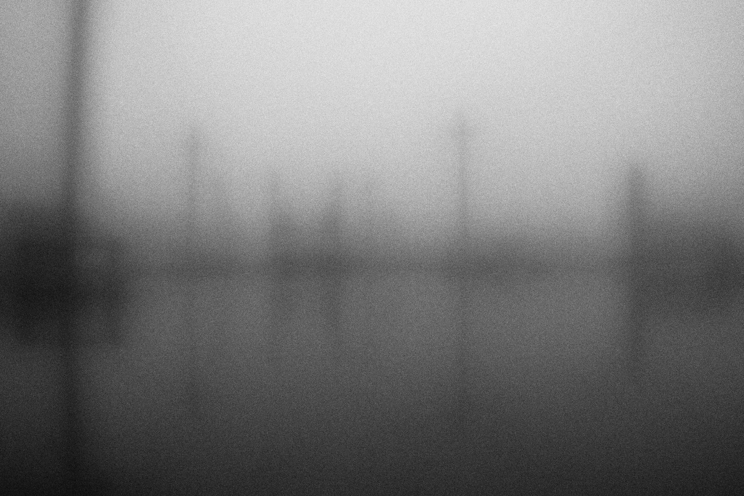 «Видеть. Чувствовать. Сохранять»