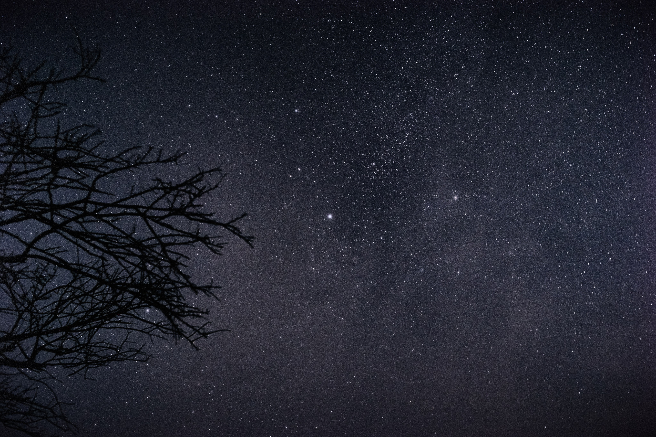 Улица горизонтальная. Jorgis — фотограф в Хургаде / обучение фотографии