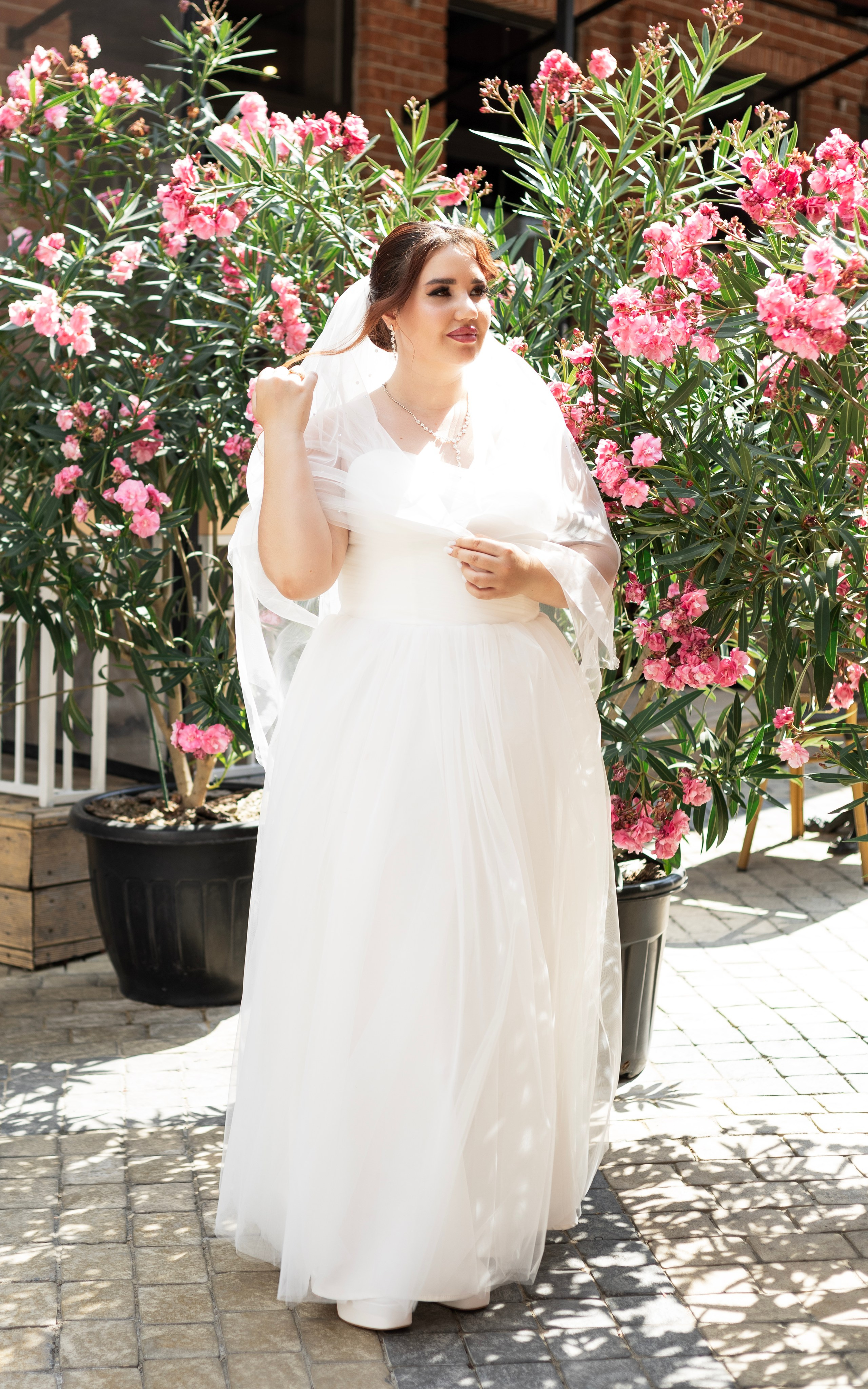 Эдуард и Виолетта 25.06.2025. Фотограф, Таганрог, Руслан Степущенко