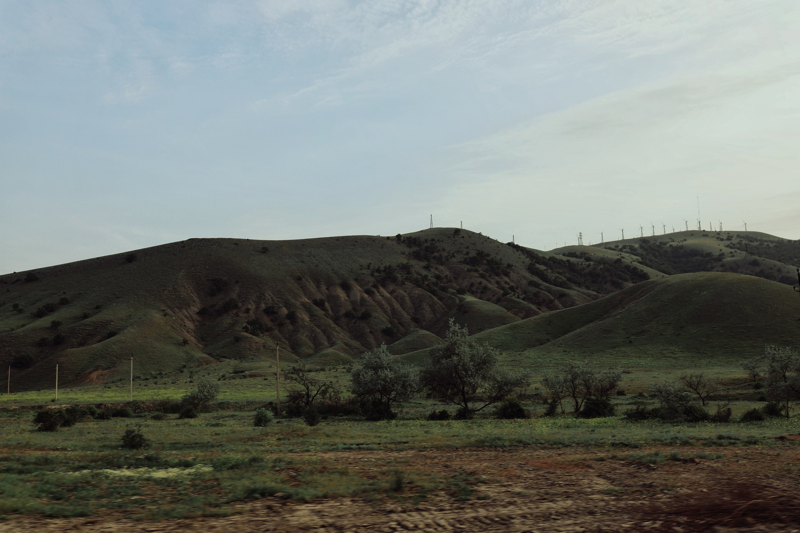 Бугаз. Фотограф и видеограф в Санкт-Петербурге