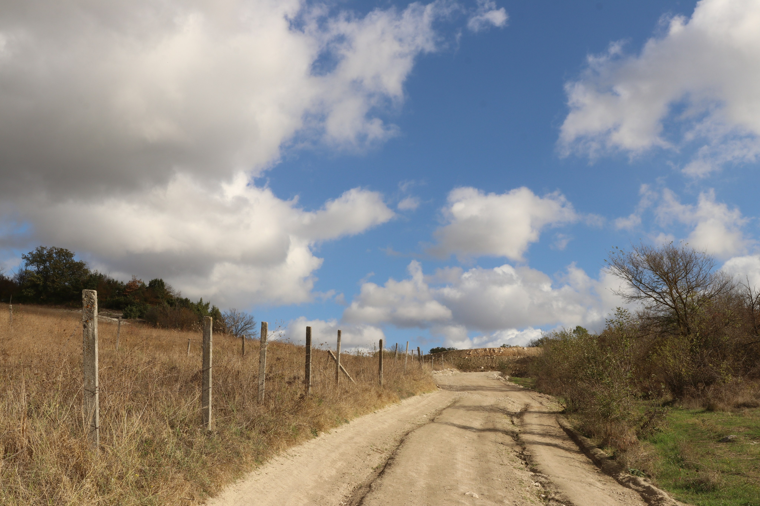 Крым. ЮБК (Гурзуф, Судак и их окрестности). Ноябрь 2023. Путешественник-фотограф из Санкт-Петербурга Татьяна Свистулина