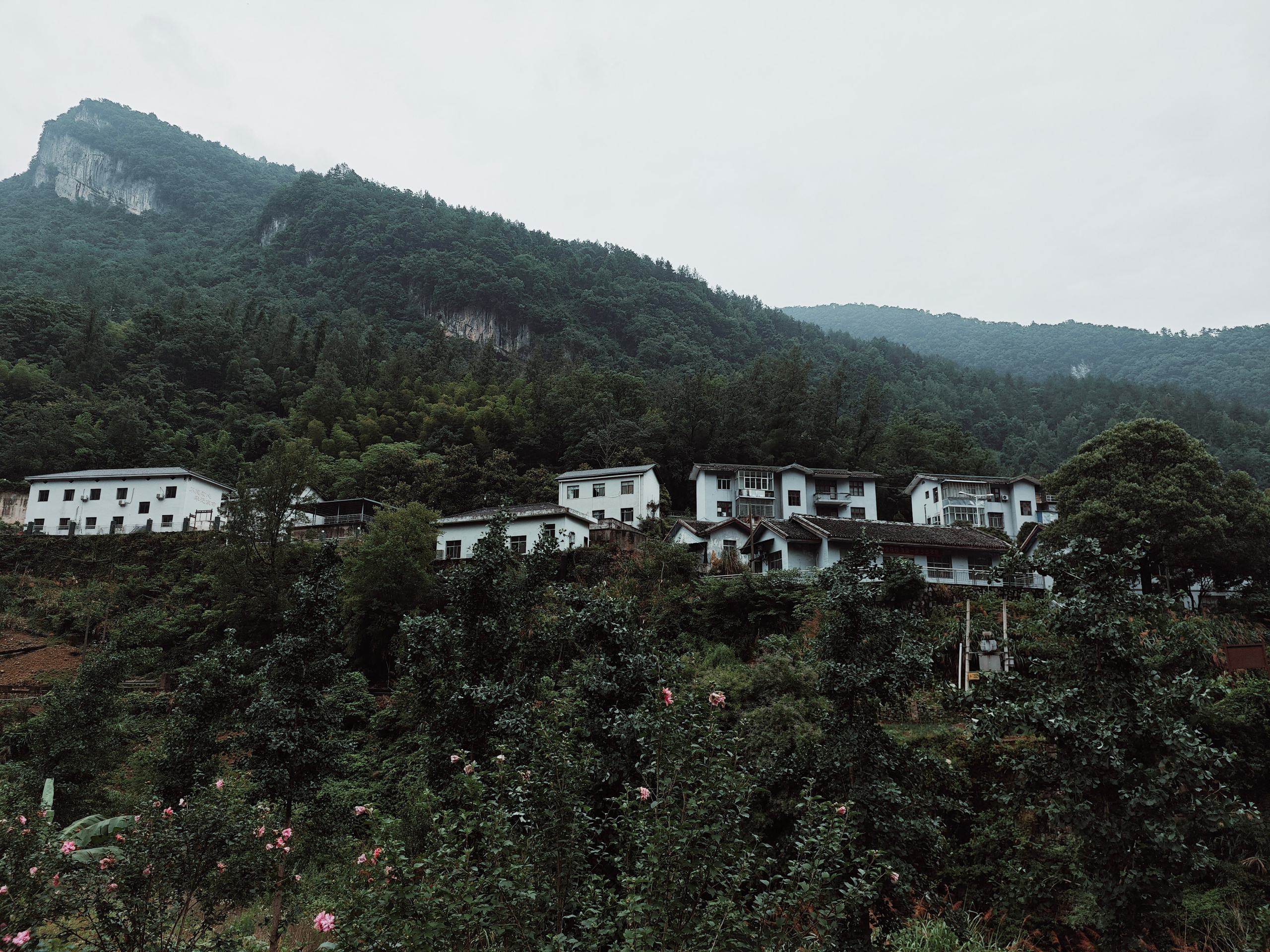 The Great Journey to China. Brjankin.com