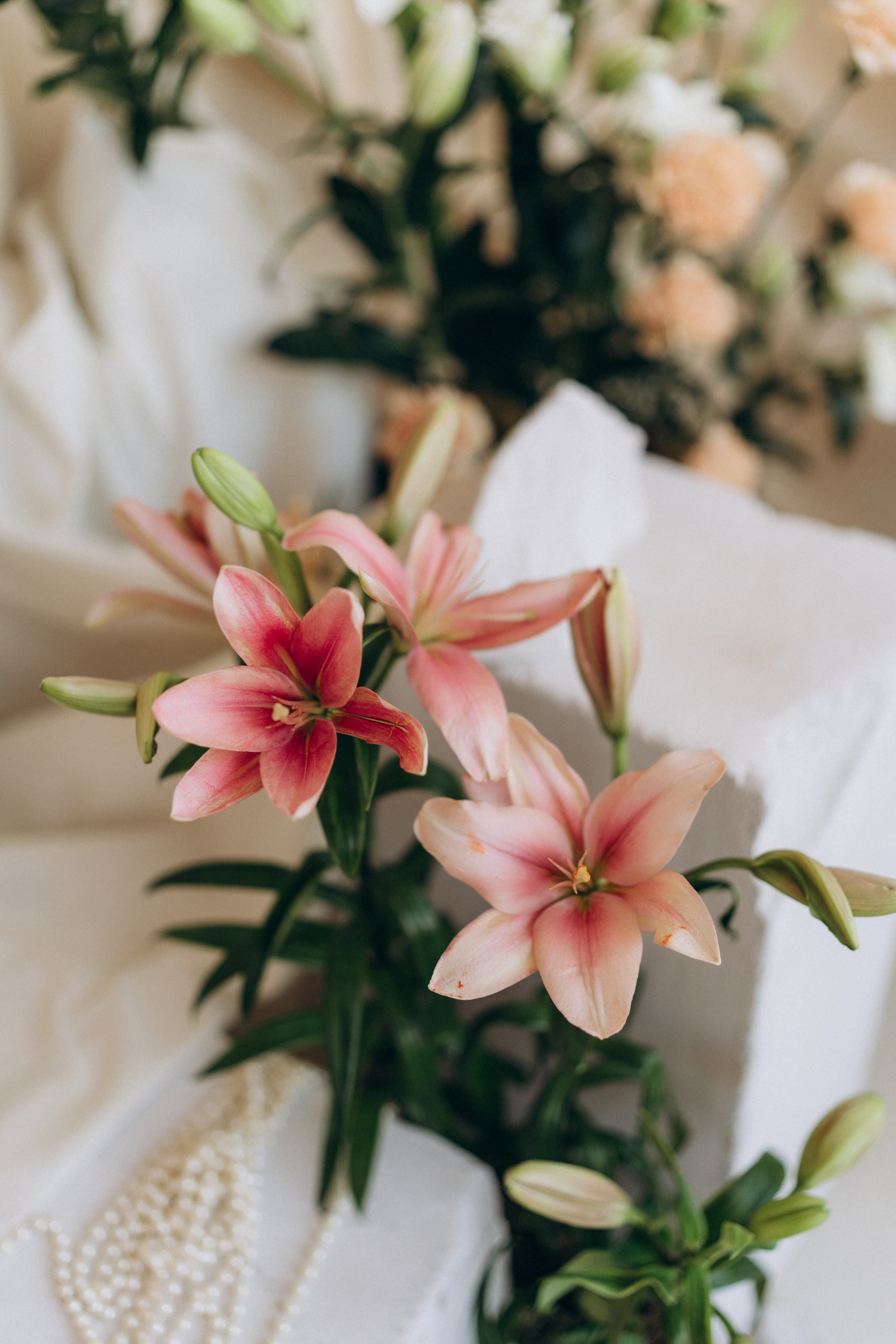 Софья. Фотограф в Санкт-Петербурге — Лучина Екатерина