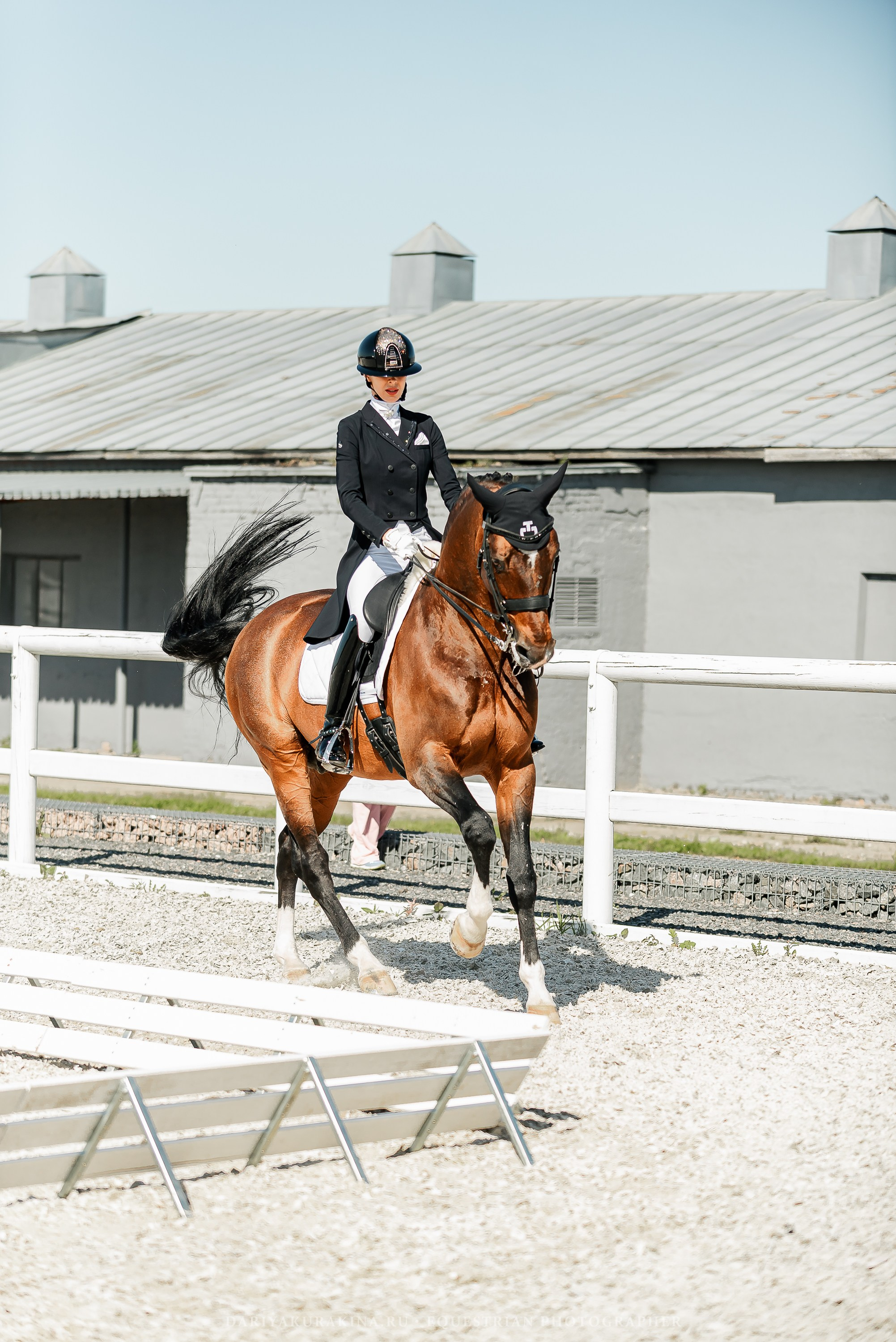 РЕПОРТАЖ МКК ВОЛЬТ «LA TULIPS». Конный фотограф Куракина Дарья • Фотосессии с лошадьми