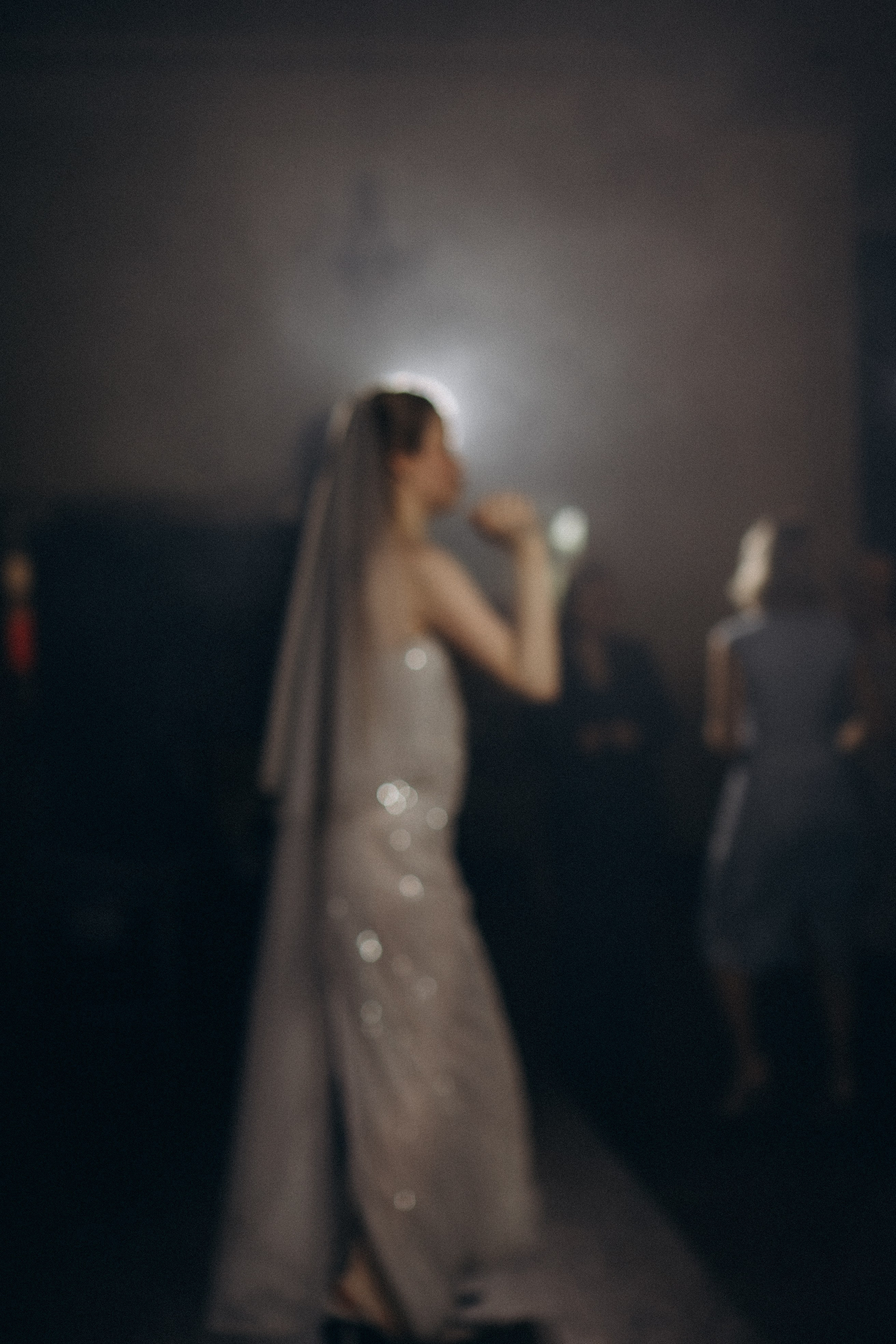 СЬЕМКА СВАДЕБНОГО БАНКЕТА (СНЯТО В СИБИРЕ В НИЖНЕВАРТОВСКЕ). Профессиональный фотограф, Санкт-Петербург — Виктория Богомолова