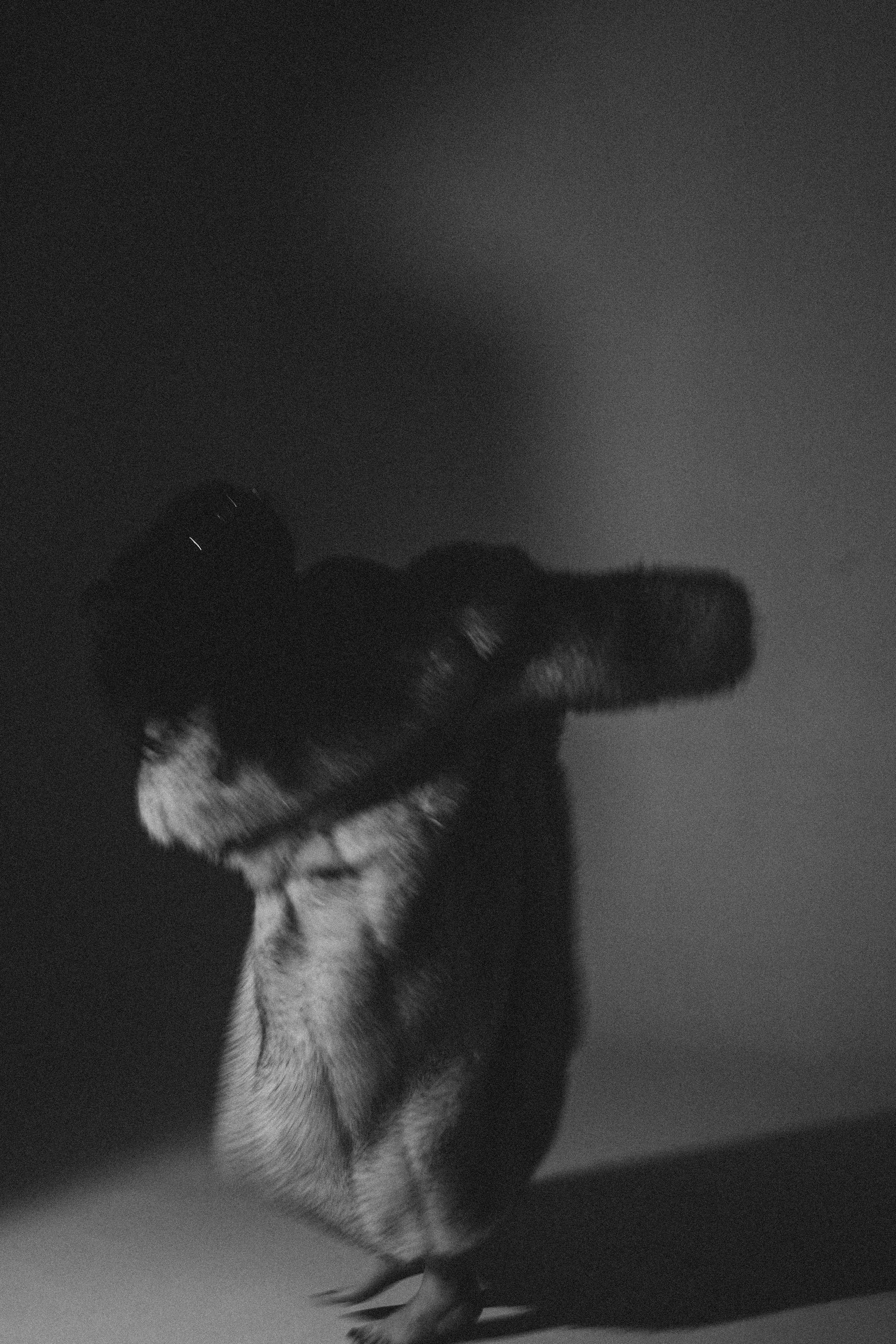 История ко дню рождения. Профессиональный фотограф, Санкт-Петербург — Виктория Богомолова