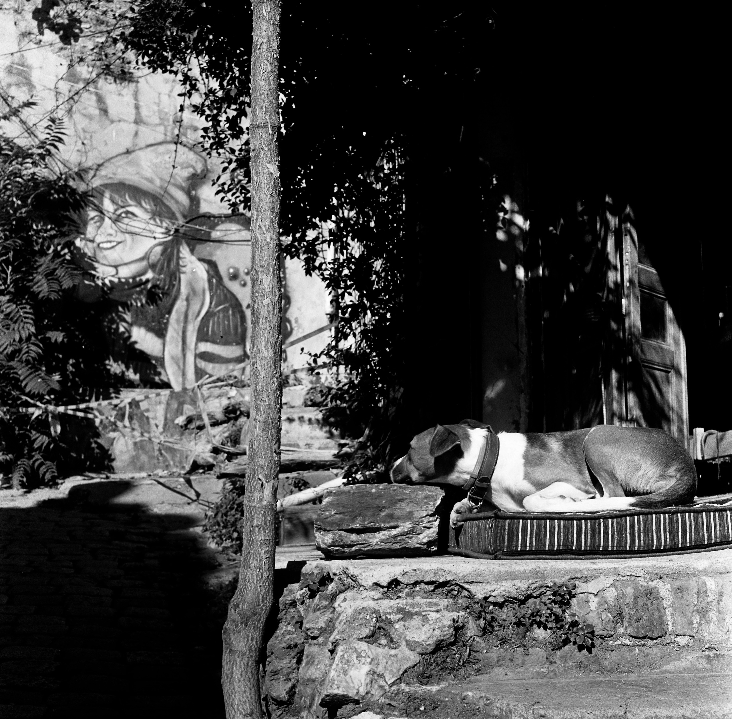 Turkey, Istanbul. Elena Nikitina. Photo Artist. Film photography. Prints