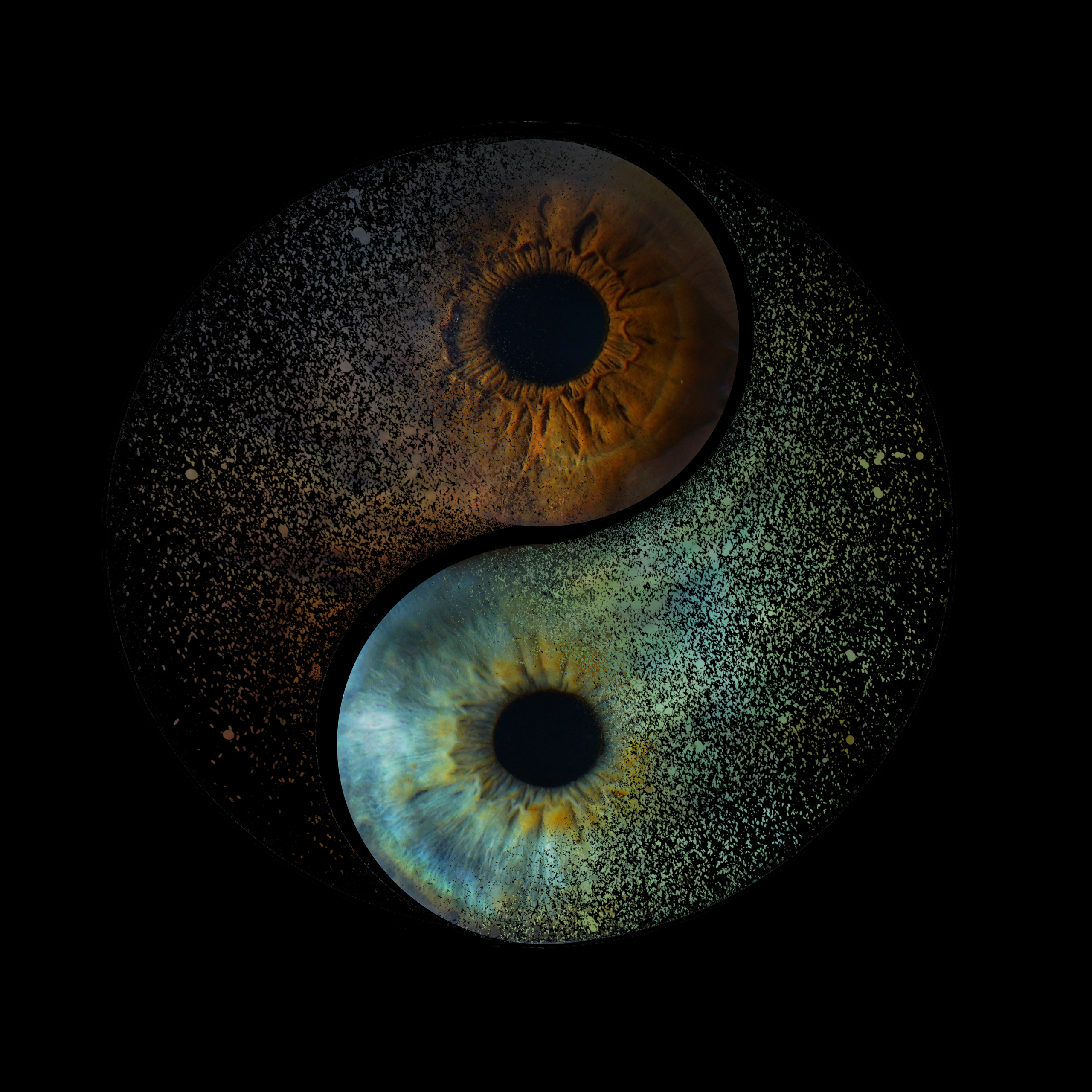 Александра 11022030. ShowLab