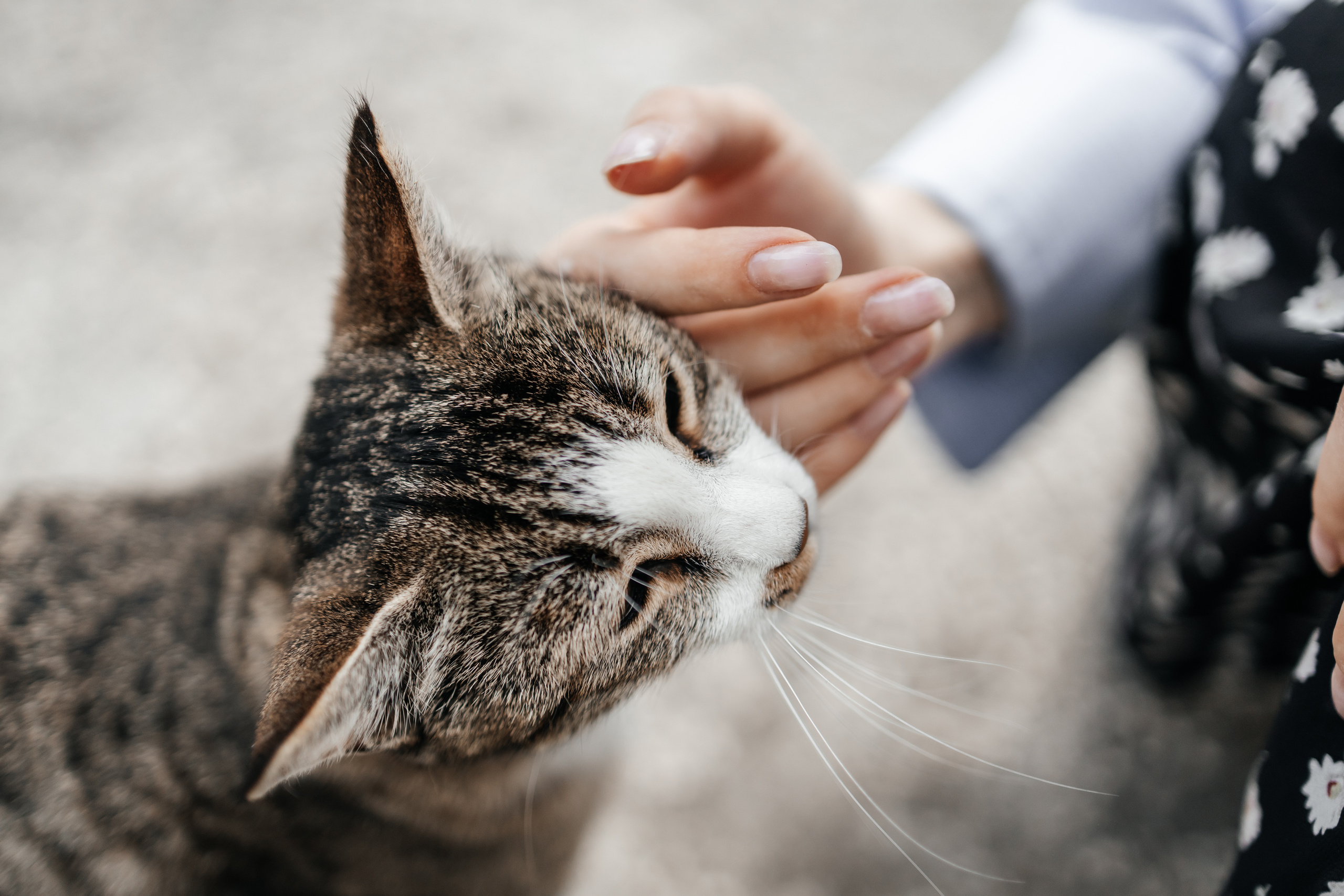 Georgia Tour with Lisa’s Tours. Family and kids photographer in Aberdeen UK Lyubov Popova