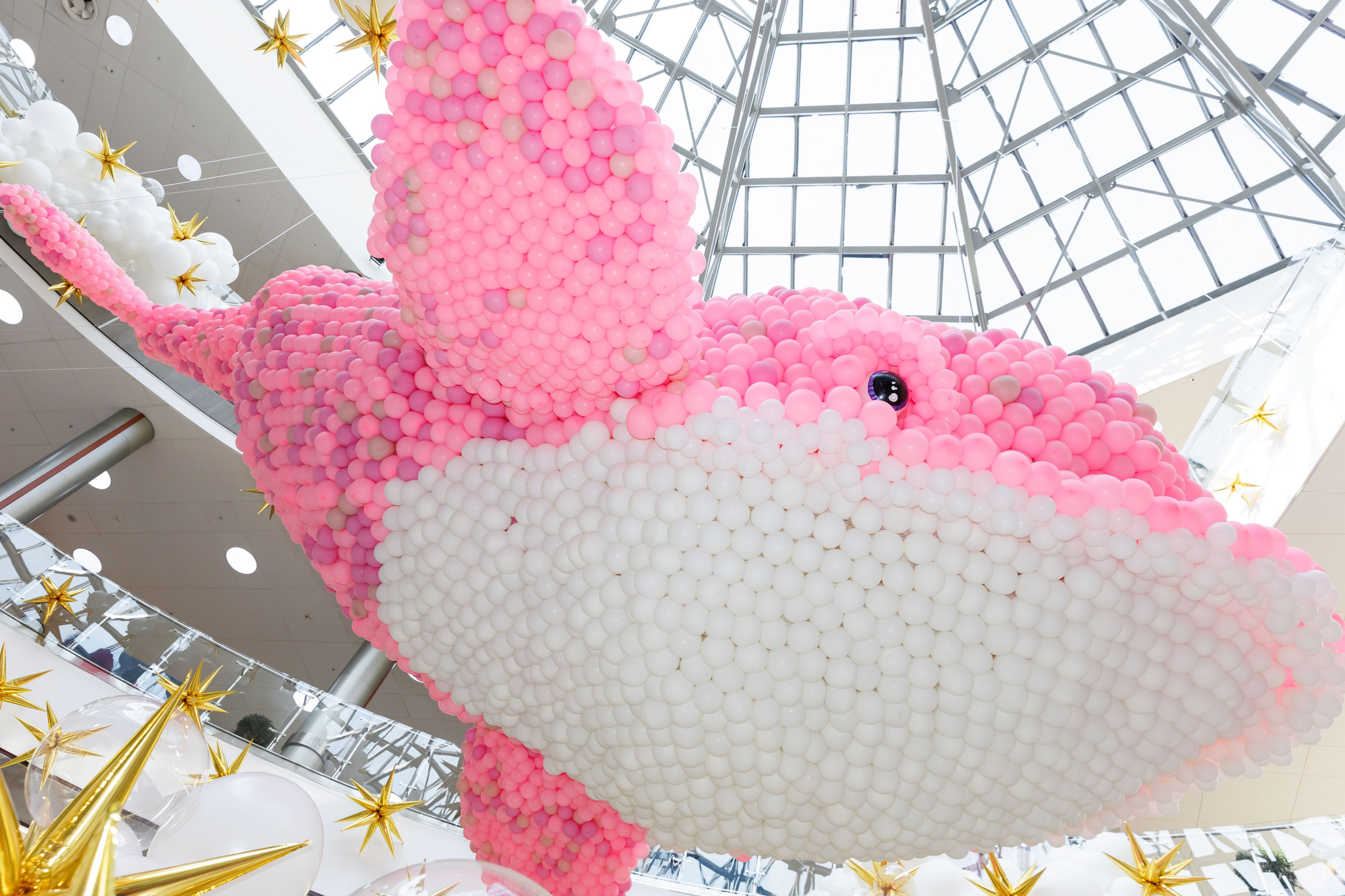 Умная весна 2025. Фотограф Новосибирск — Наталья Гресь