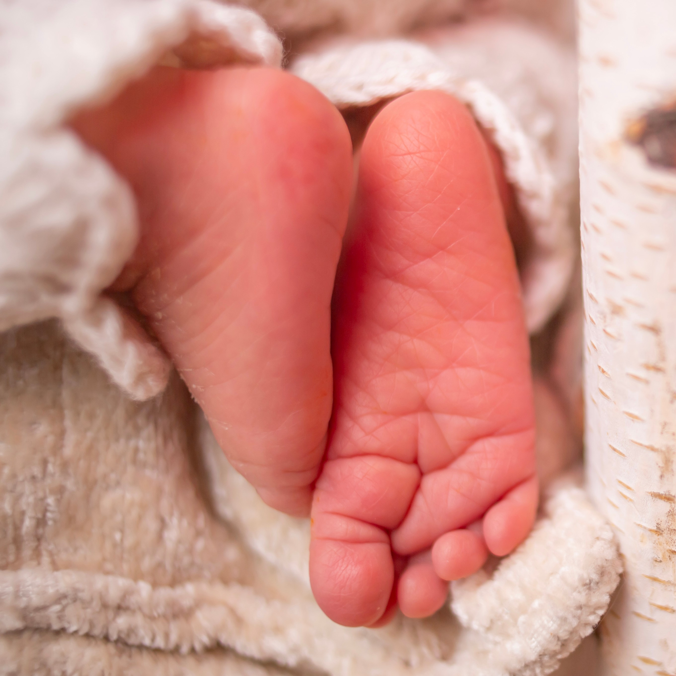 NEWBORN. Семейный и детский фотограф в Москве и МО — Александра