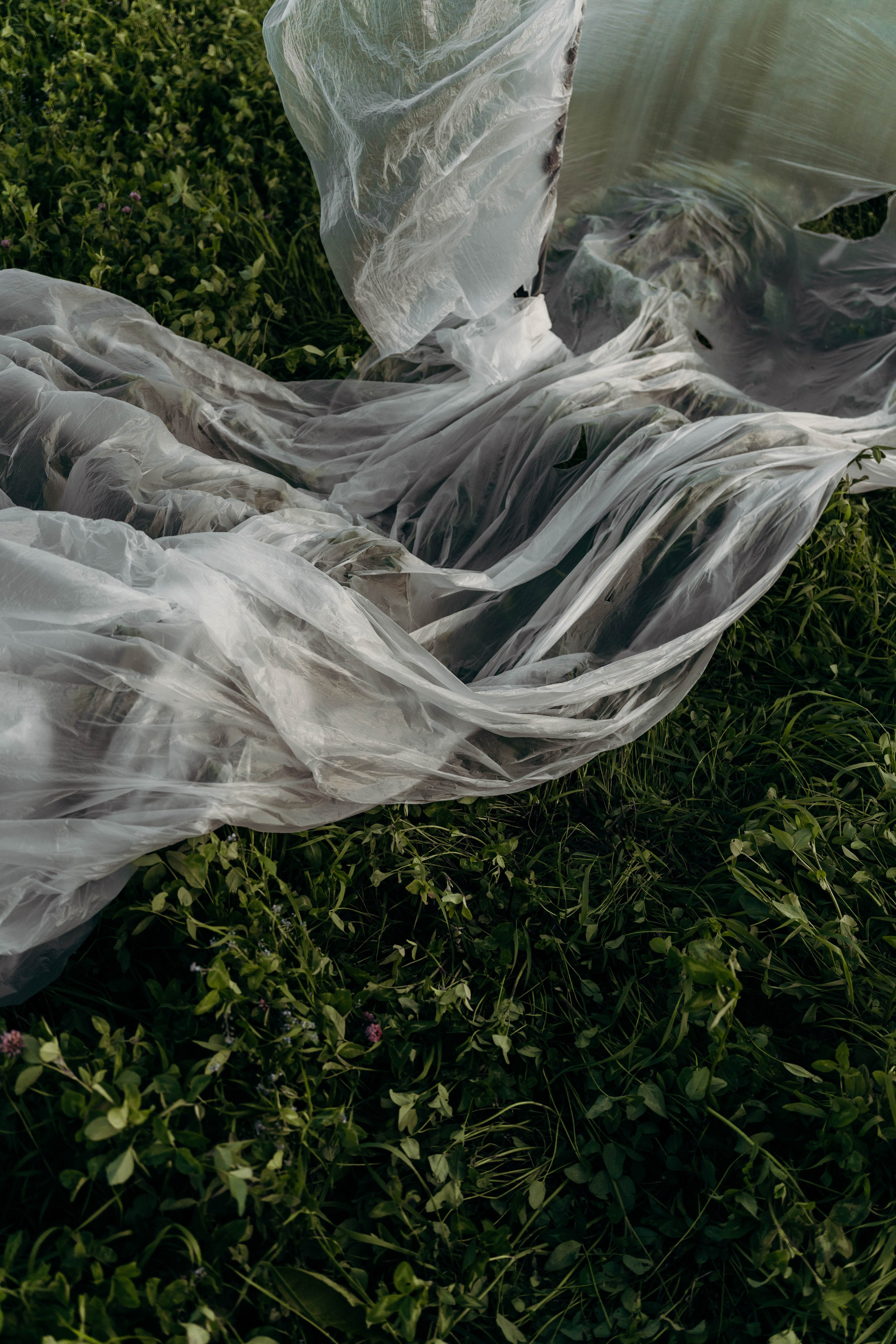 Творчество. Семейный и портретный фотограф во Владимире и Суздале