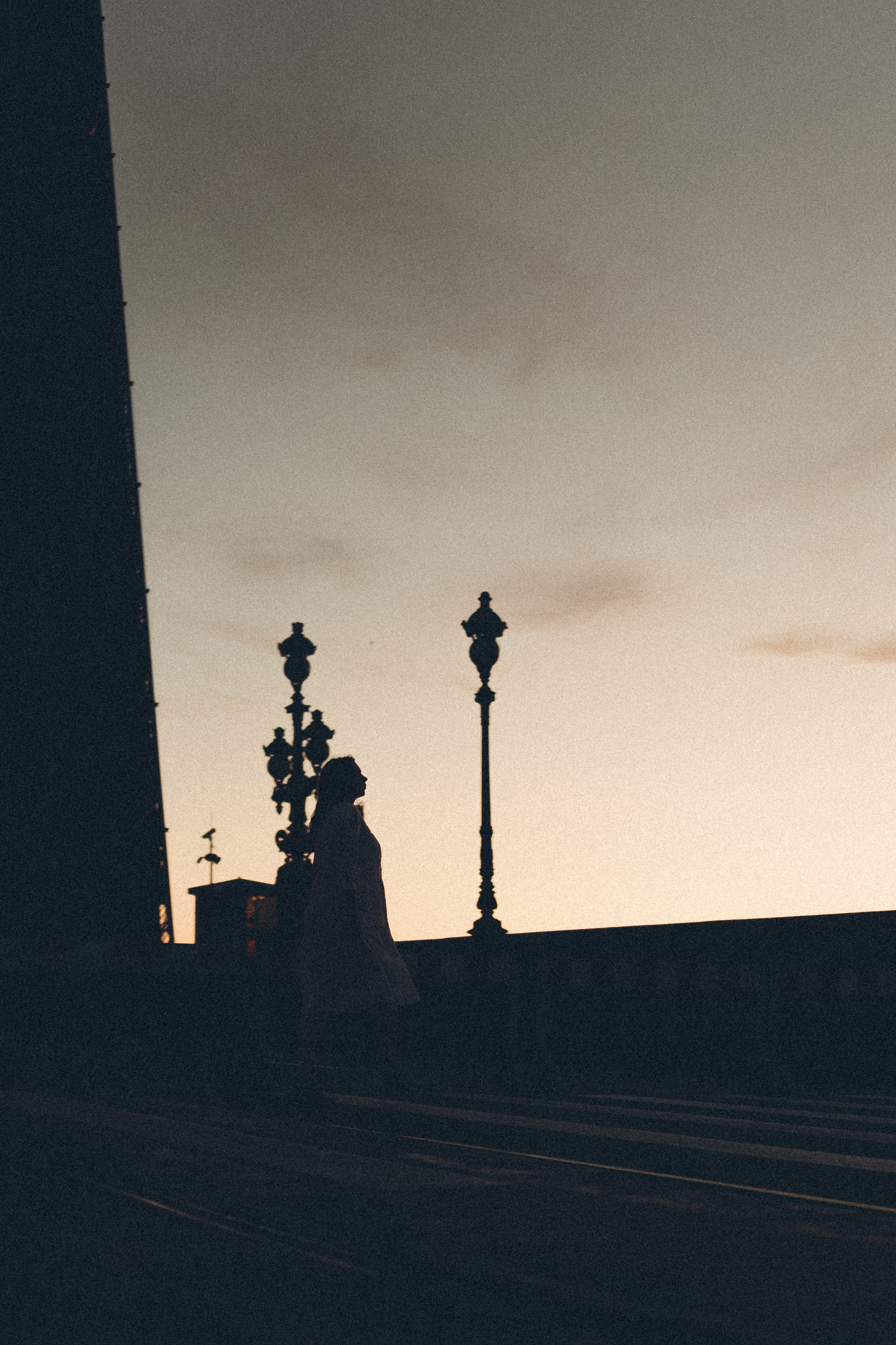 РАССВЕТ С РАЗВОДНЫМИ МОСТАМИ. Профессиональный фотограф, Санкт-Петербург — Виктория Богомолова