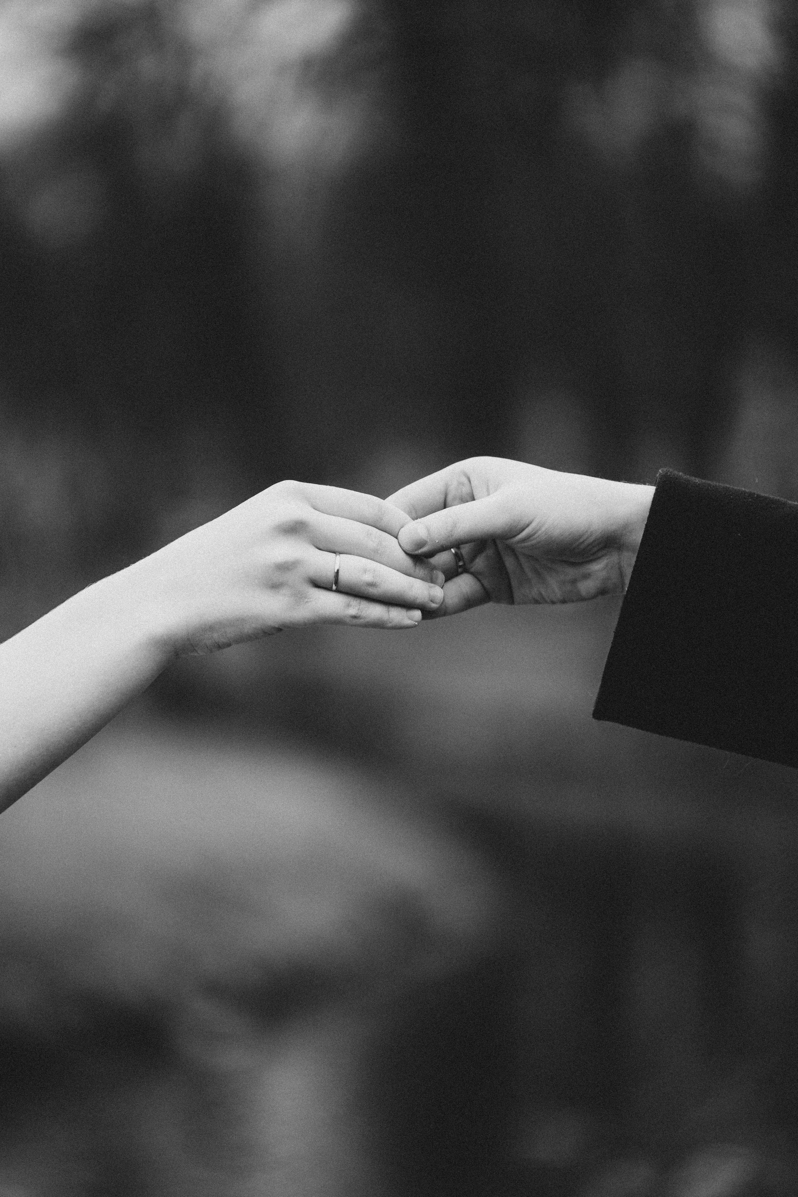 СВАДЕБНАЯ ВО ВТОРОМ ДВОРЦЕ И ПРОГУЛКА В ТАВРИЧЕСКОМ САДУ ЧБ. Профессиональный фотограф, Санкт-Петербург — Виктория Богомолова