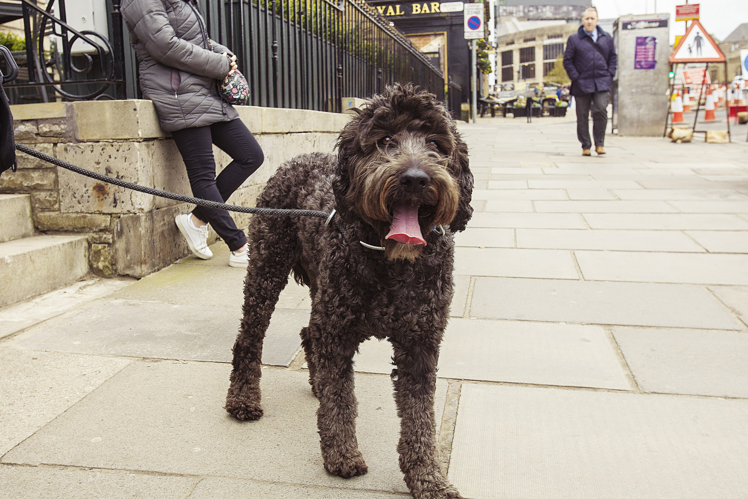 ШОНТЛАДНИЯ / SCOTLAND. Главная