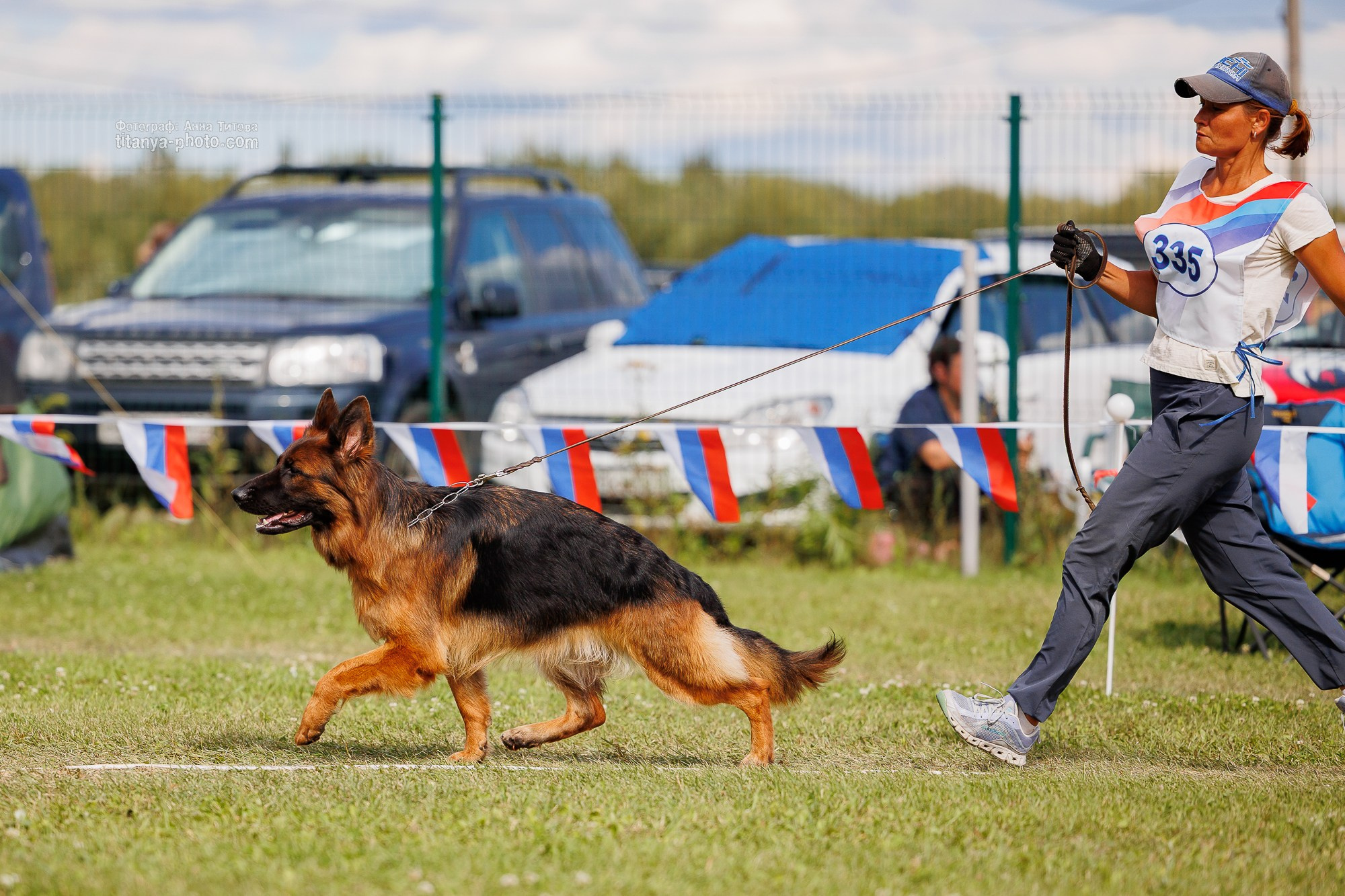Немецкие овчарки: фото из рингов и вне ринга, мутпроба (фотографии с выставок). Фотограф собак, фотограф-анималист Аня Титова (Titanya). Москва