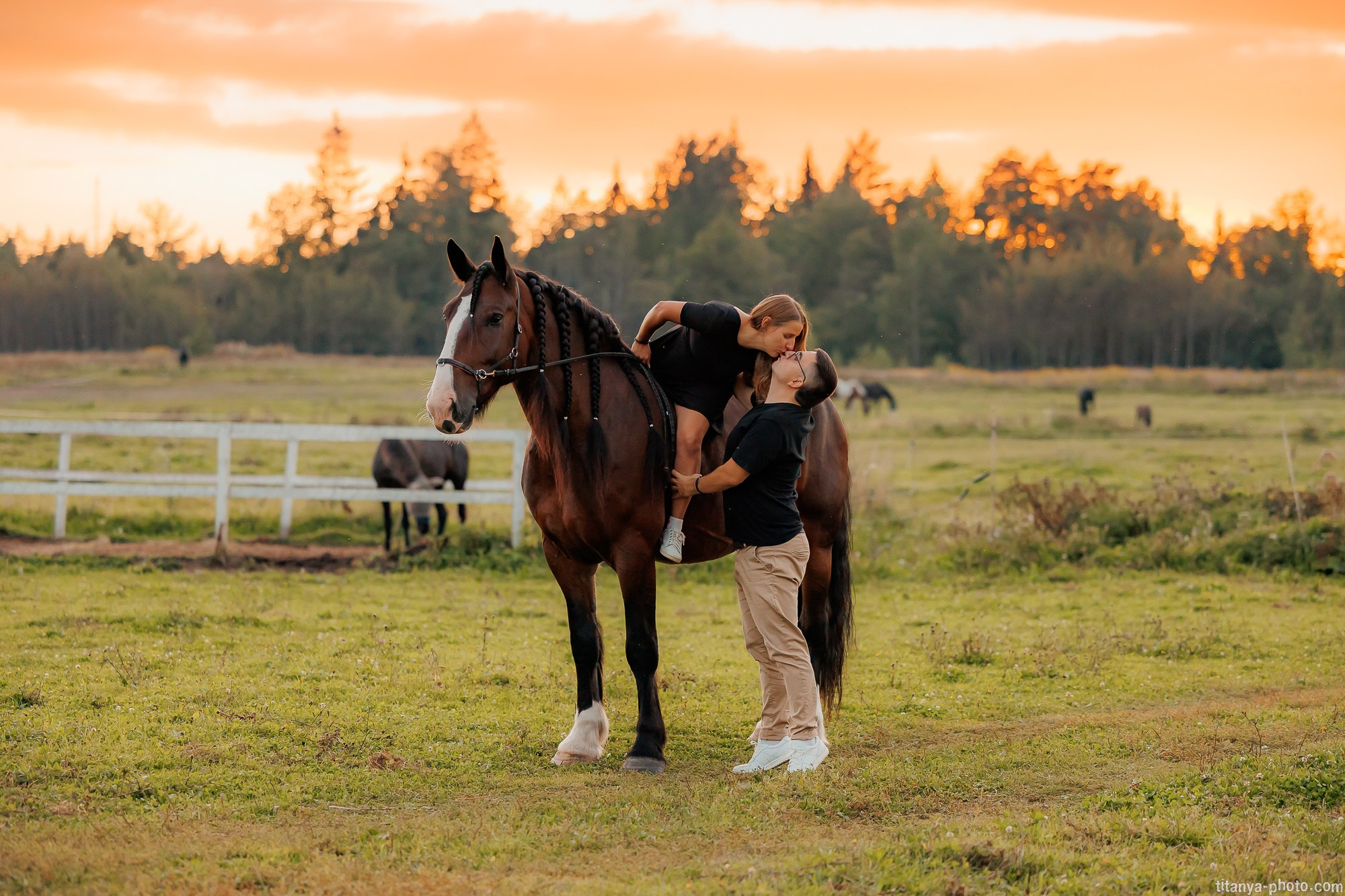 Закатная семейная фотосессия: про Настю и её дружную семью. Фотограф собак, фотограф-анималист Аня Титова (Titanya). Москва