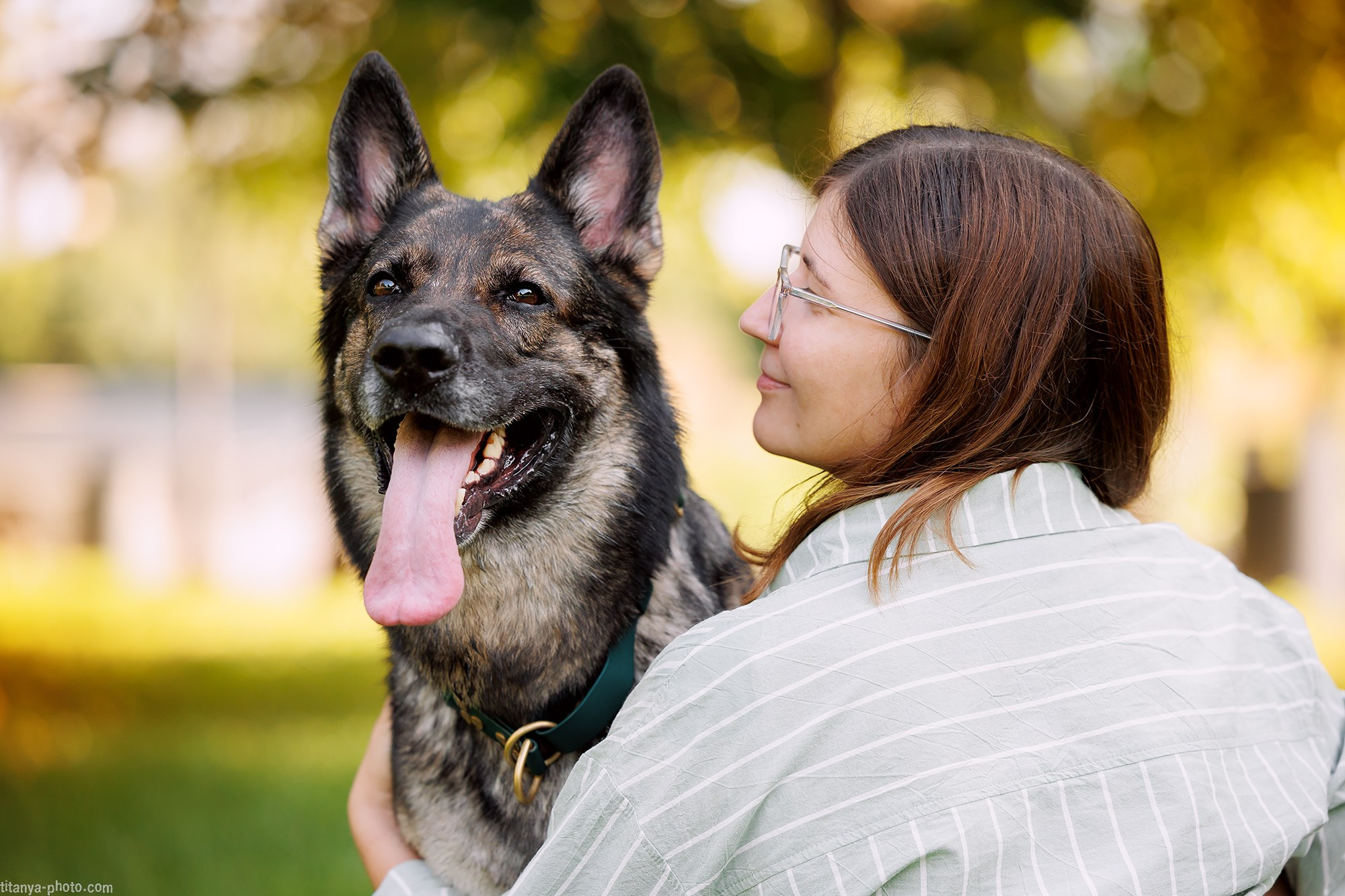 Маша и Харпи. Фотограф собак, фотограф-анималист Аня Титова (Titanya). Москва