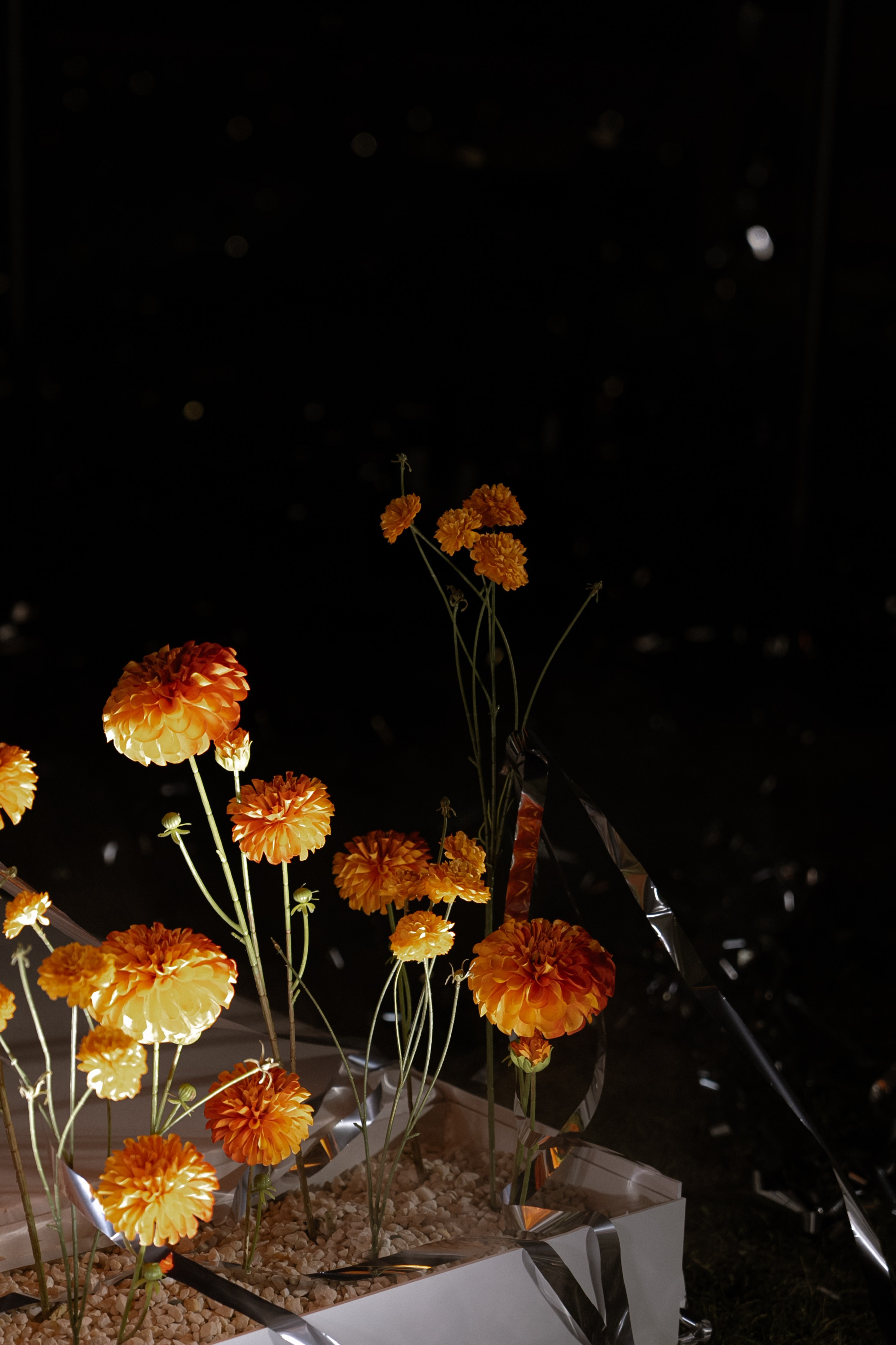 Гермес. Orange. Семейный и портретный фотограф в Саратове Сахарова Маша