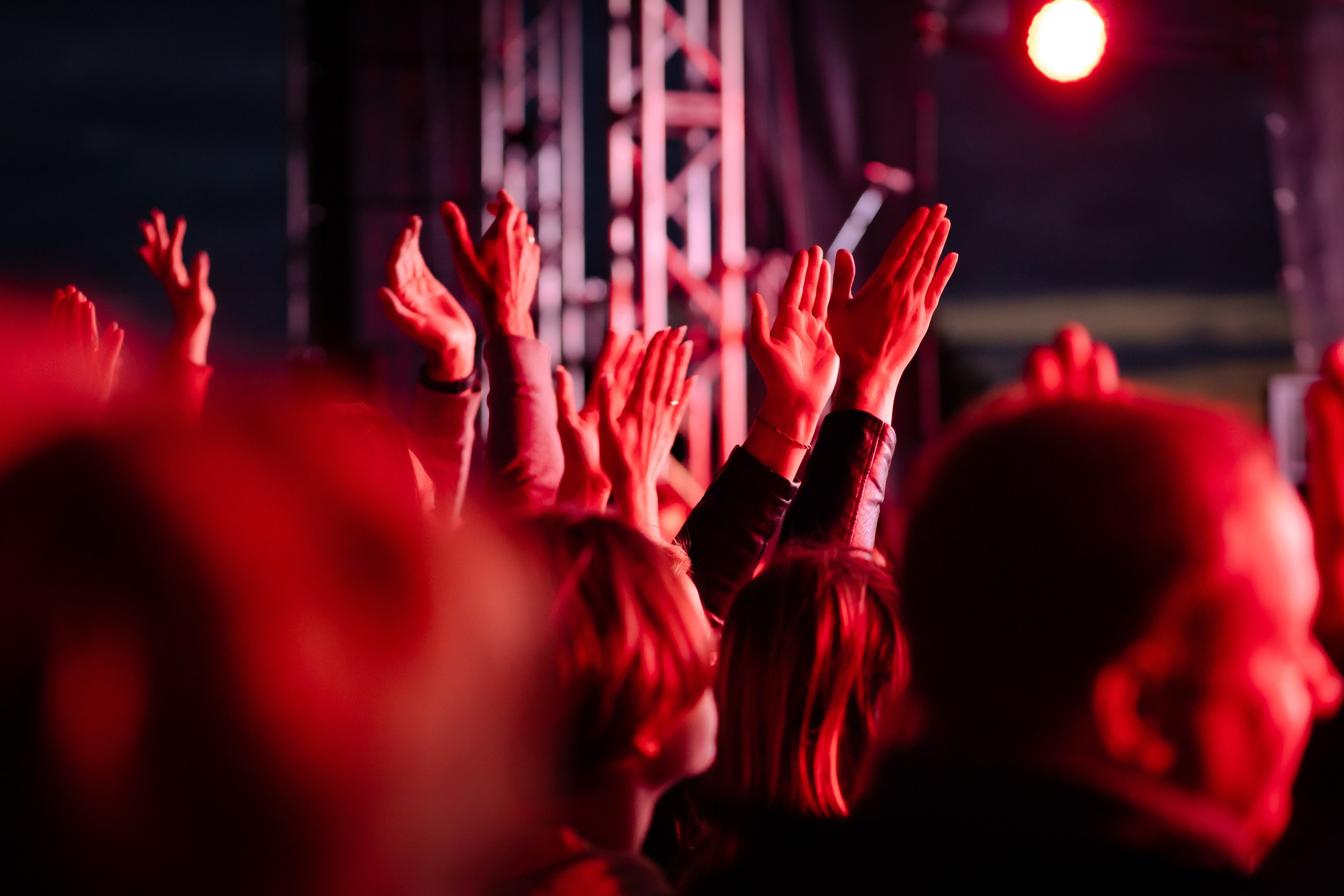 Фотосъемка концертов. Инна Карцева Свадебный фотограф Тольятти