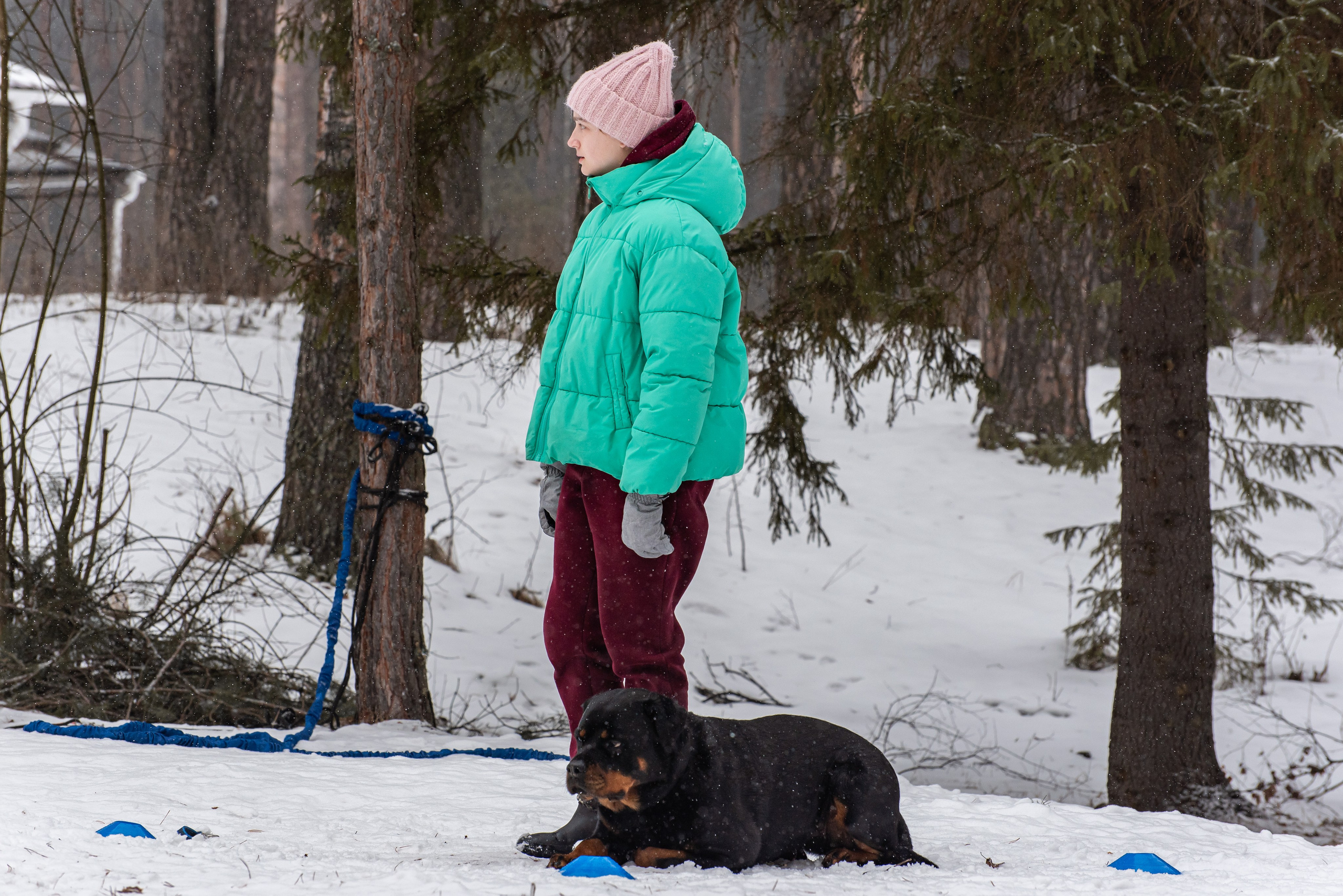 Фотосъёмка с собаками в Кинологическом лагере. Фотограф Макс Огурцов в Нижнем Новгороде