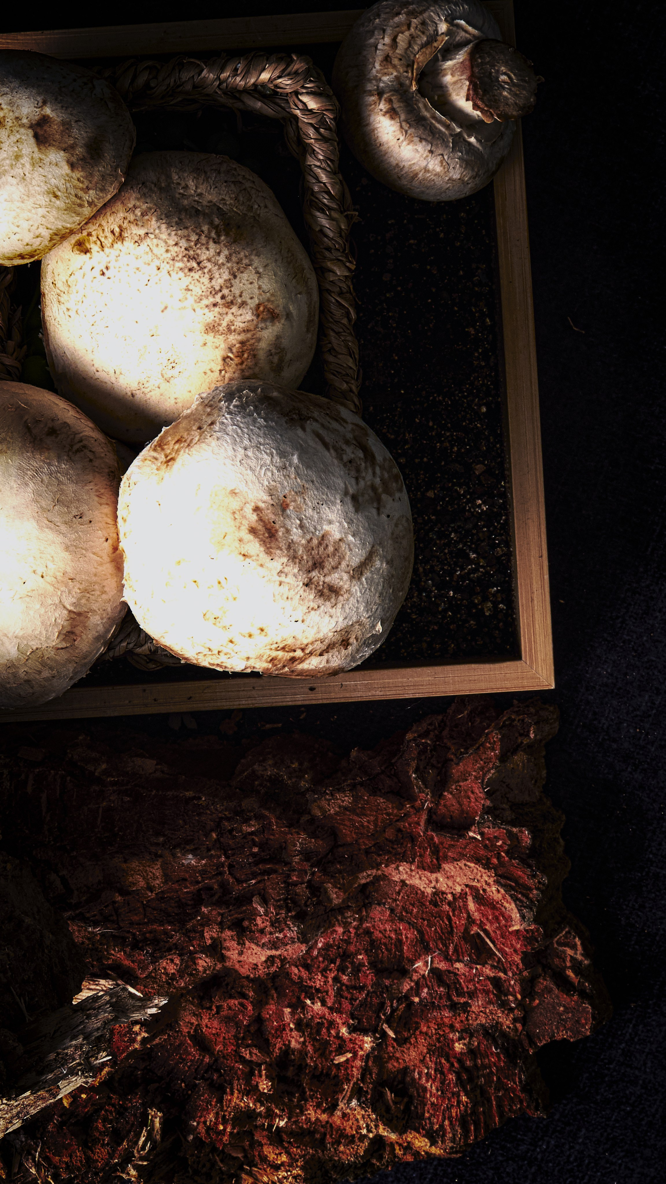 ГРИБЫ. Я  фотограф. Работаю в городе Москва,