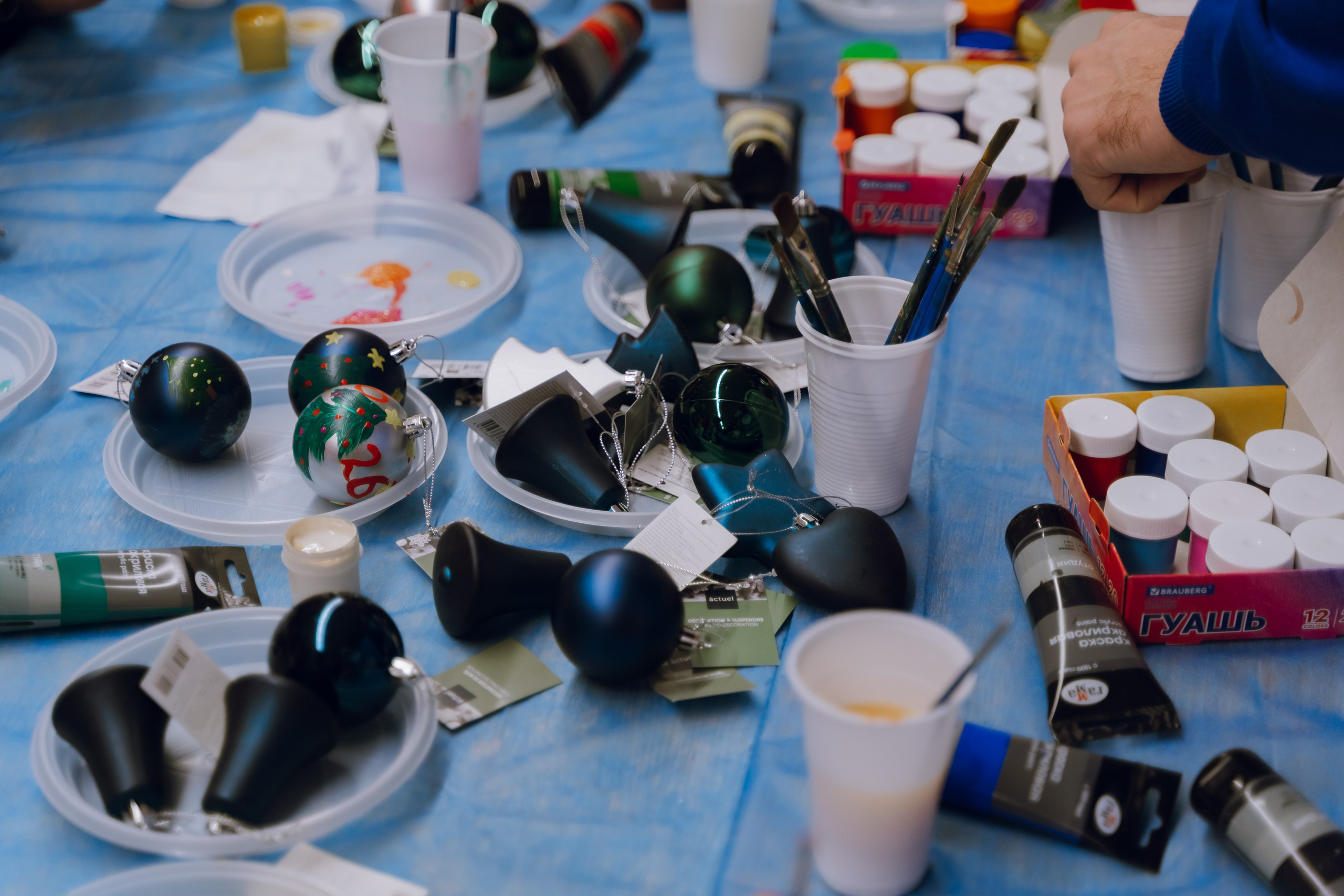 IX Форум добровольчества РО 2025. Фотограф Надежда Погребняк | Рязань | Москва