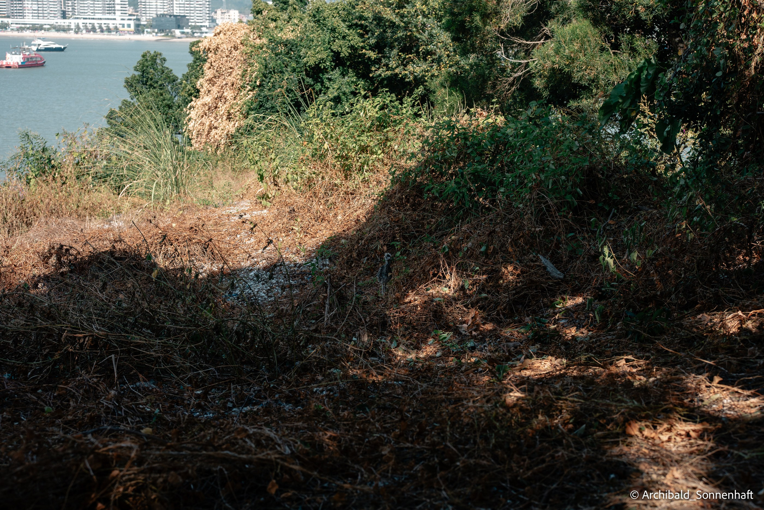 Kayaking in Huizhou, China. Photographer in Guangzhou, China. Archibald Sonnenhaft