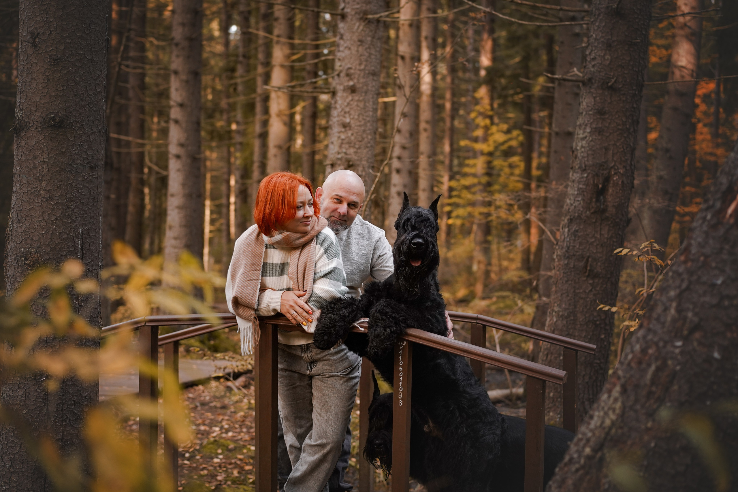 Оля Миша и шнауцеры. Фотограф-анималист в Санкт-Петербурге Яна Мартынова
