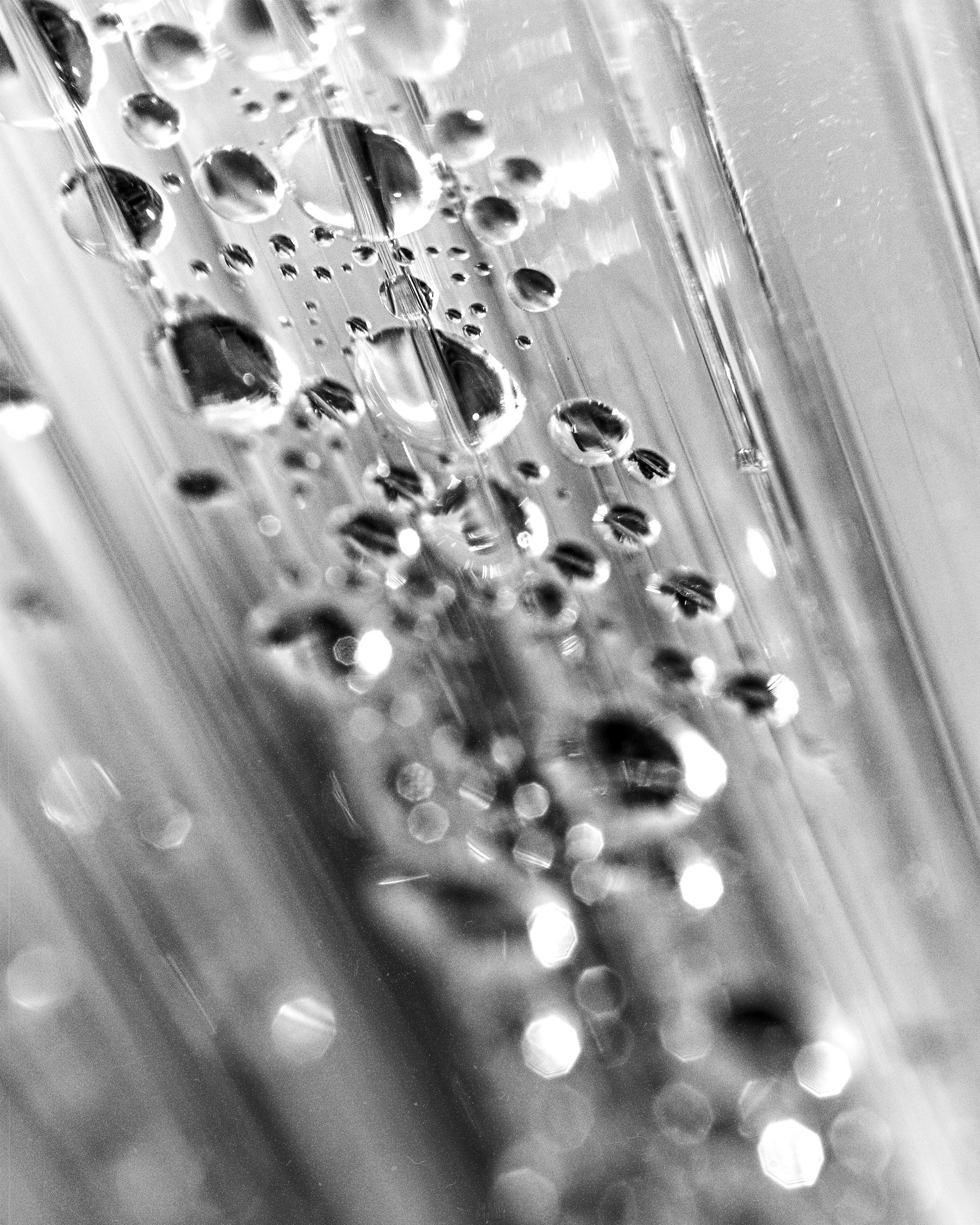 N a t u r e. Your photographer