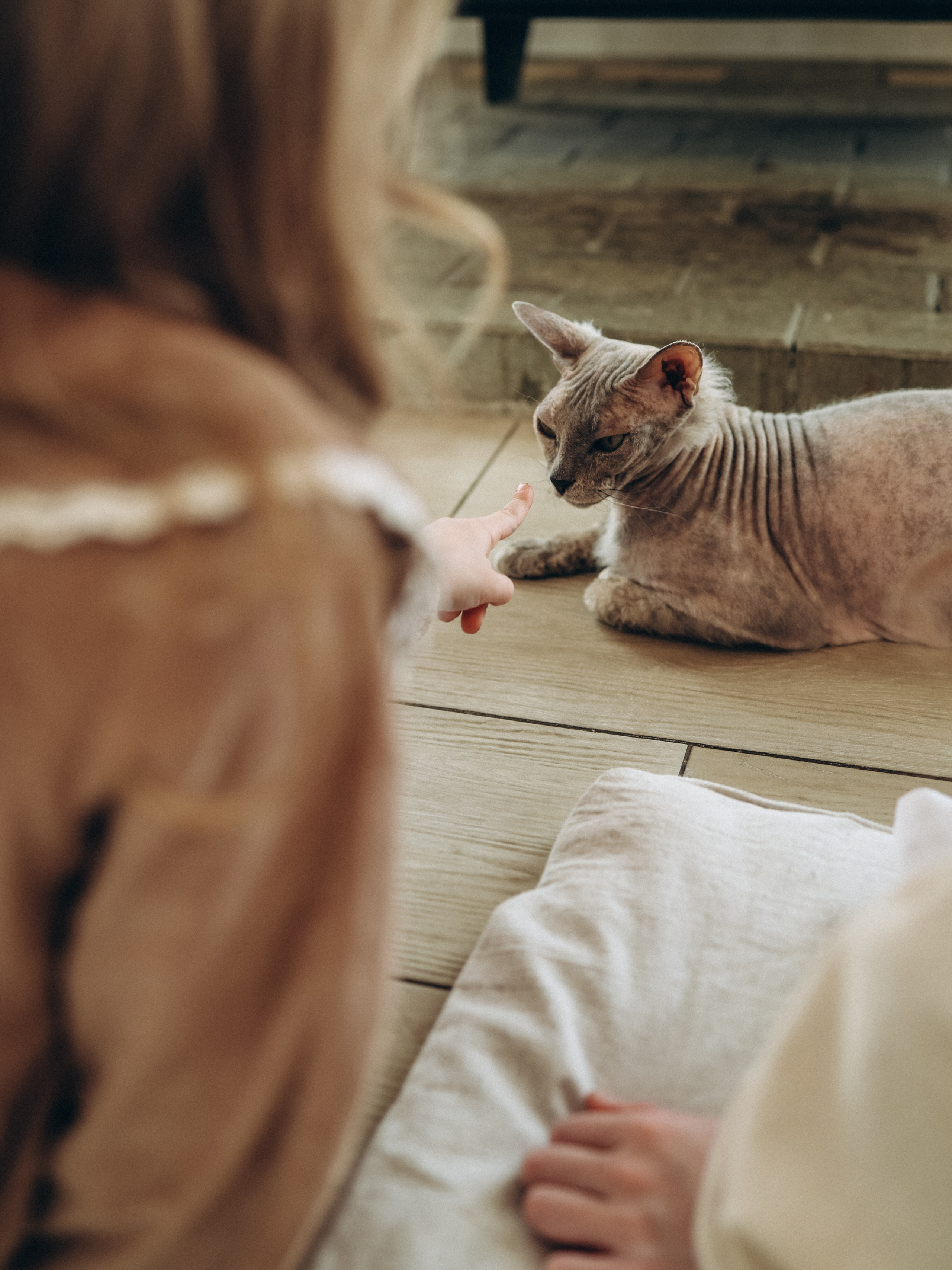 Мандариновое настроение. Семейный и детский фотограф в  г. Екатеринбурге Холодова Юлия